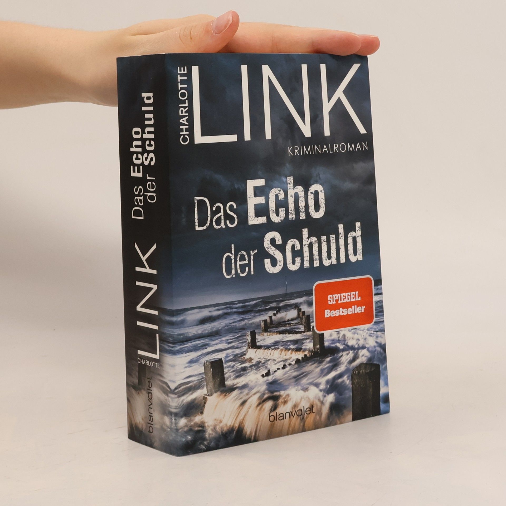 Charlotte Link Das Echo der Schuld