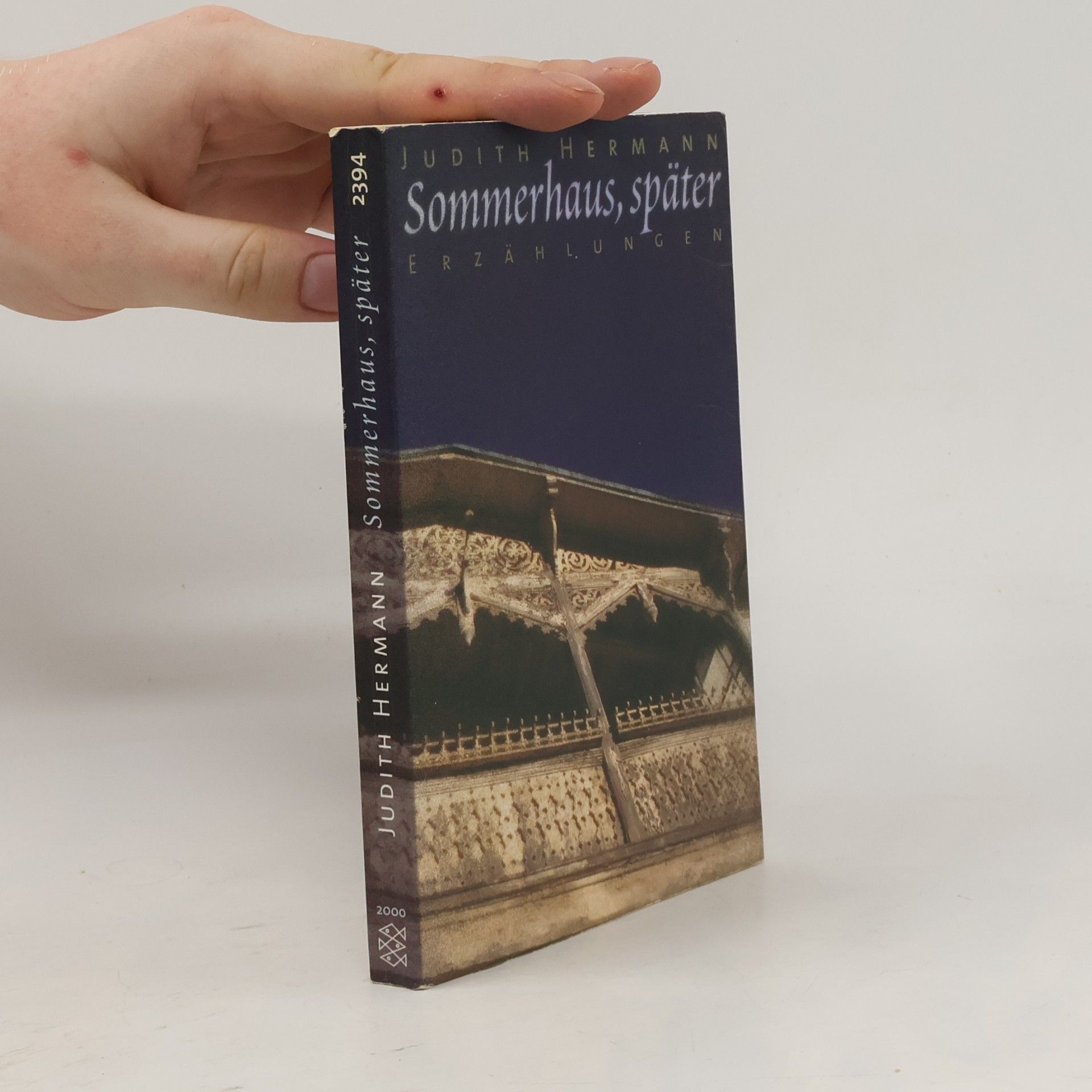 Judith Hermann Sommerhaus, später