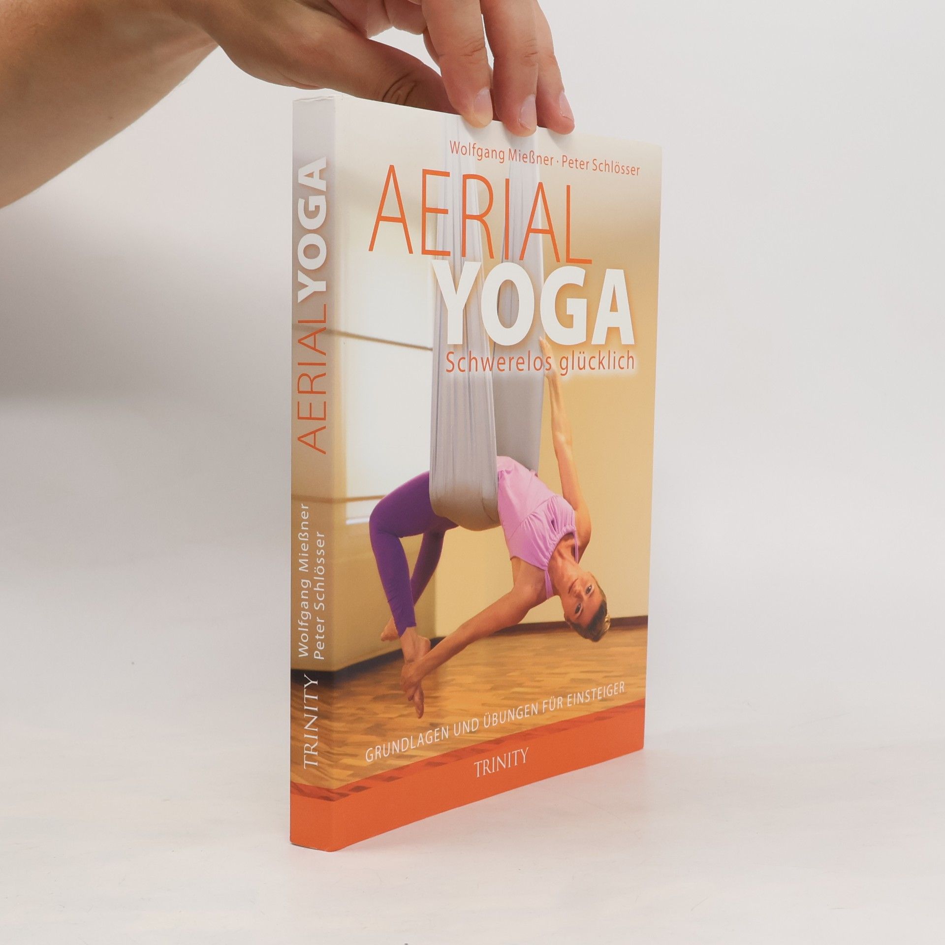 Wolfgang Mießner Aerial-Yoga