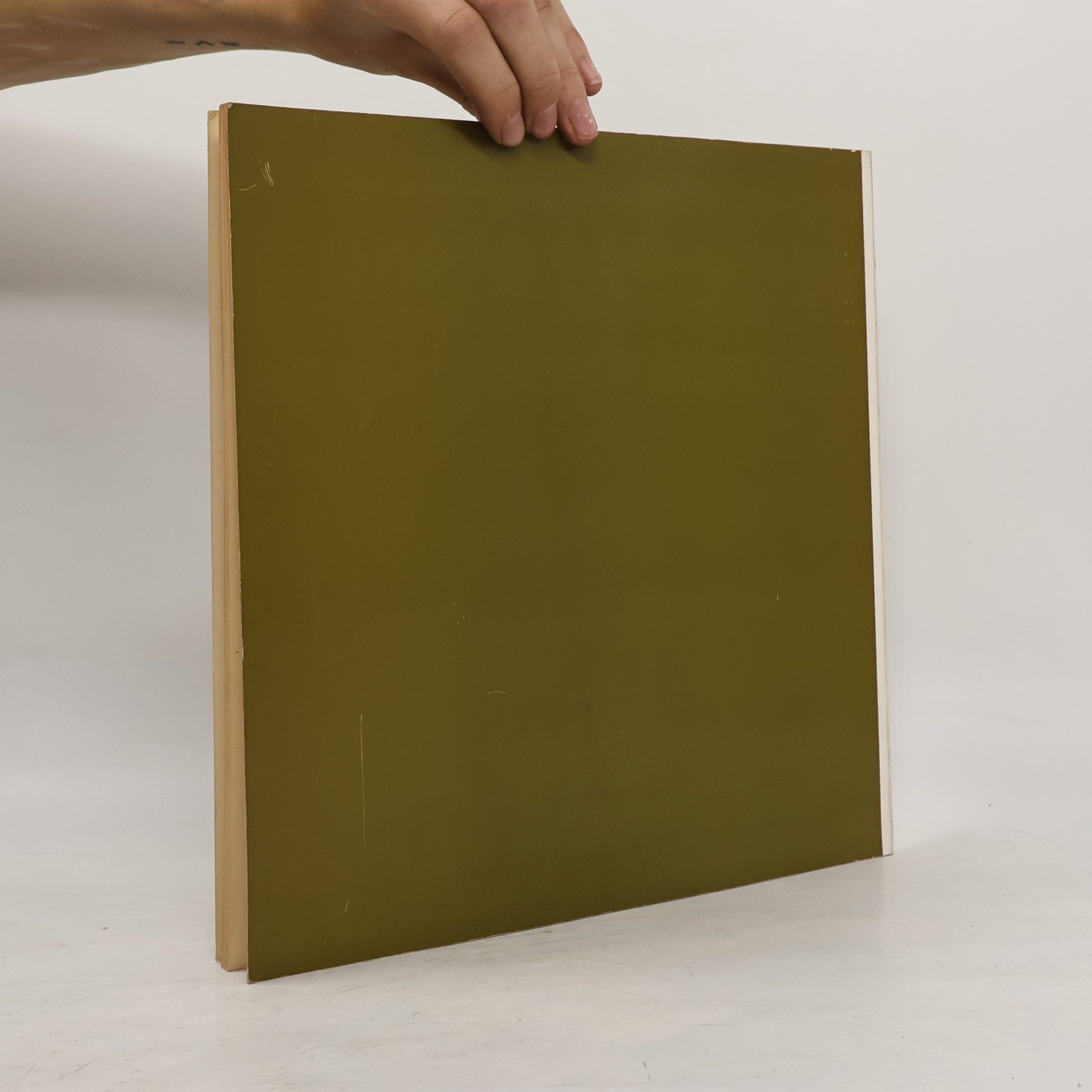 Dorothee Eggenberger Geschichte der Schweizer Kunsttopographie