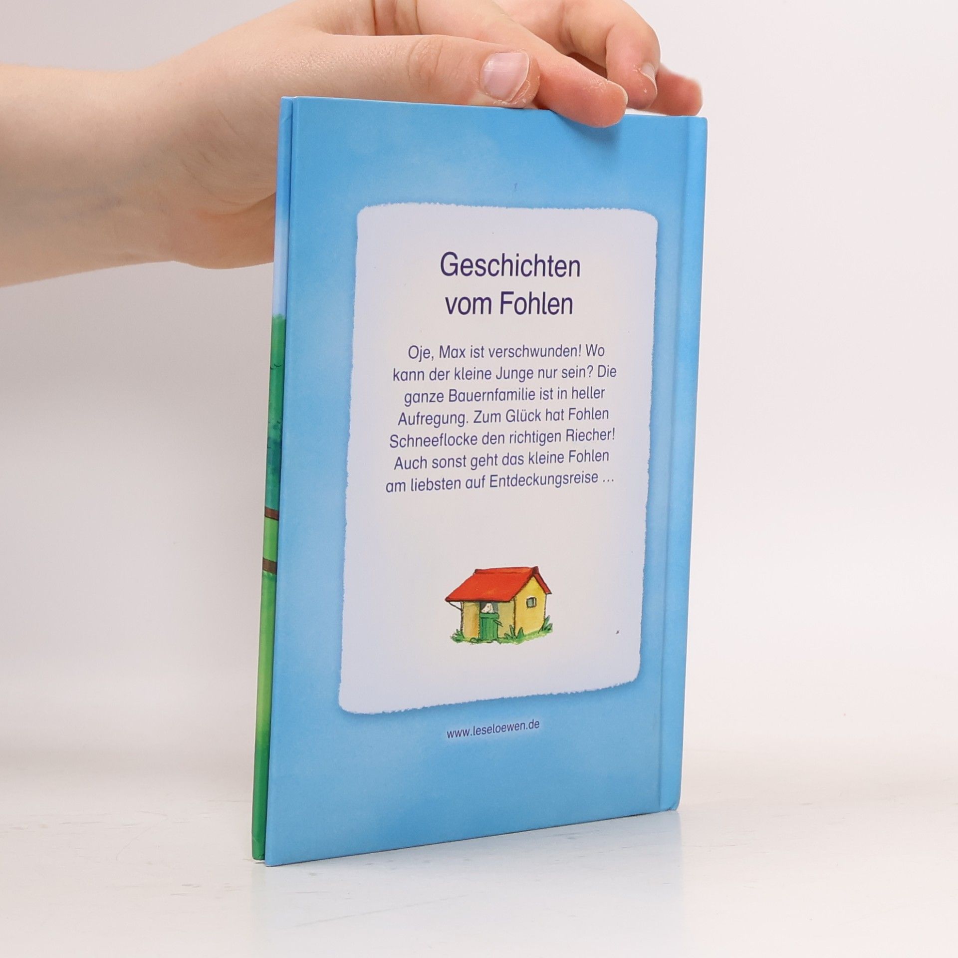 Sandra Grimm Mein Bildermaus-Ponyhof