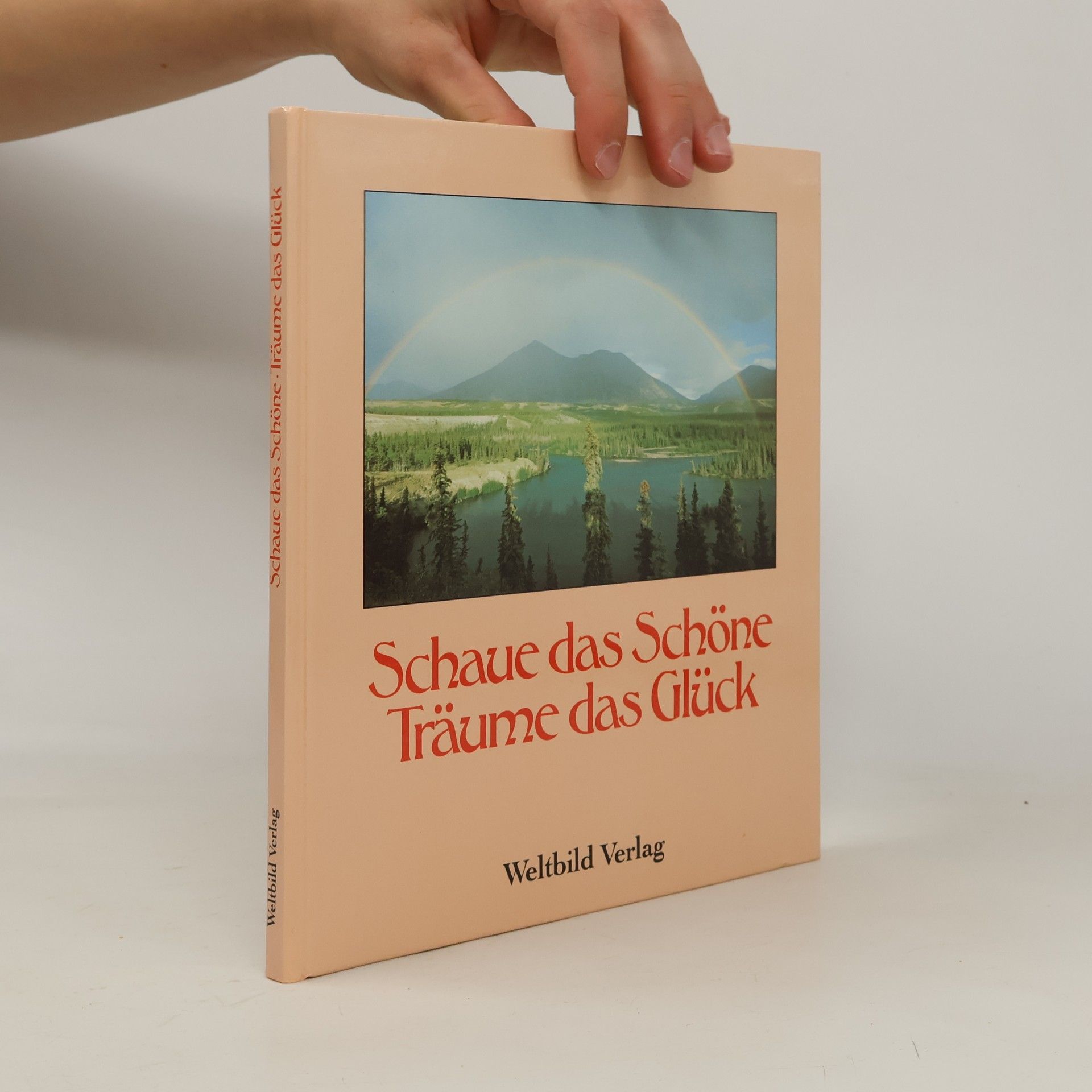 Kolektiv autorů Schaue das Schöne, träume das Glück
