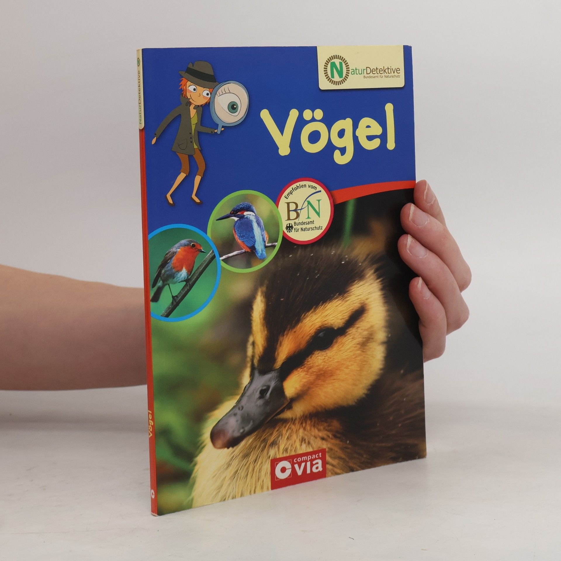 Greta Steenbock Vögel