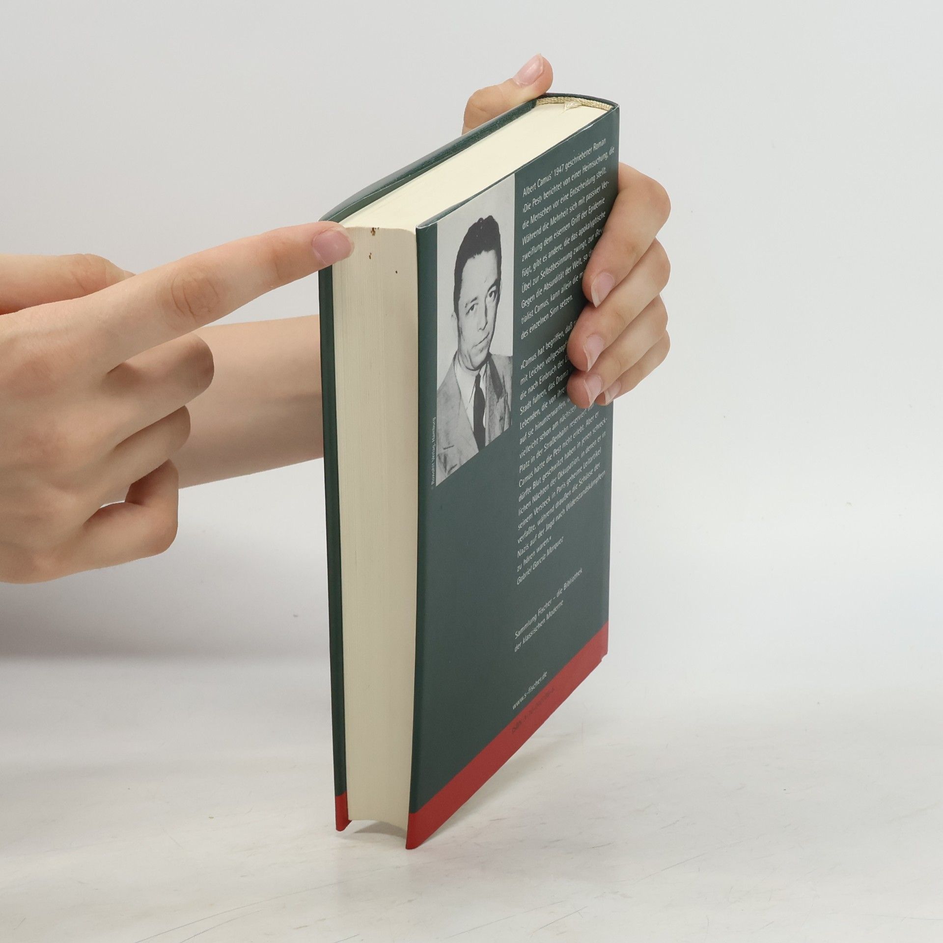 Albert Camus Sammlung Fischer: Die Pest