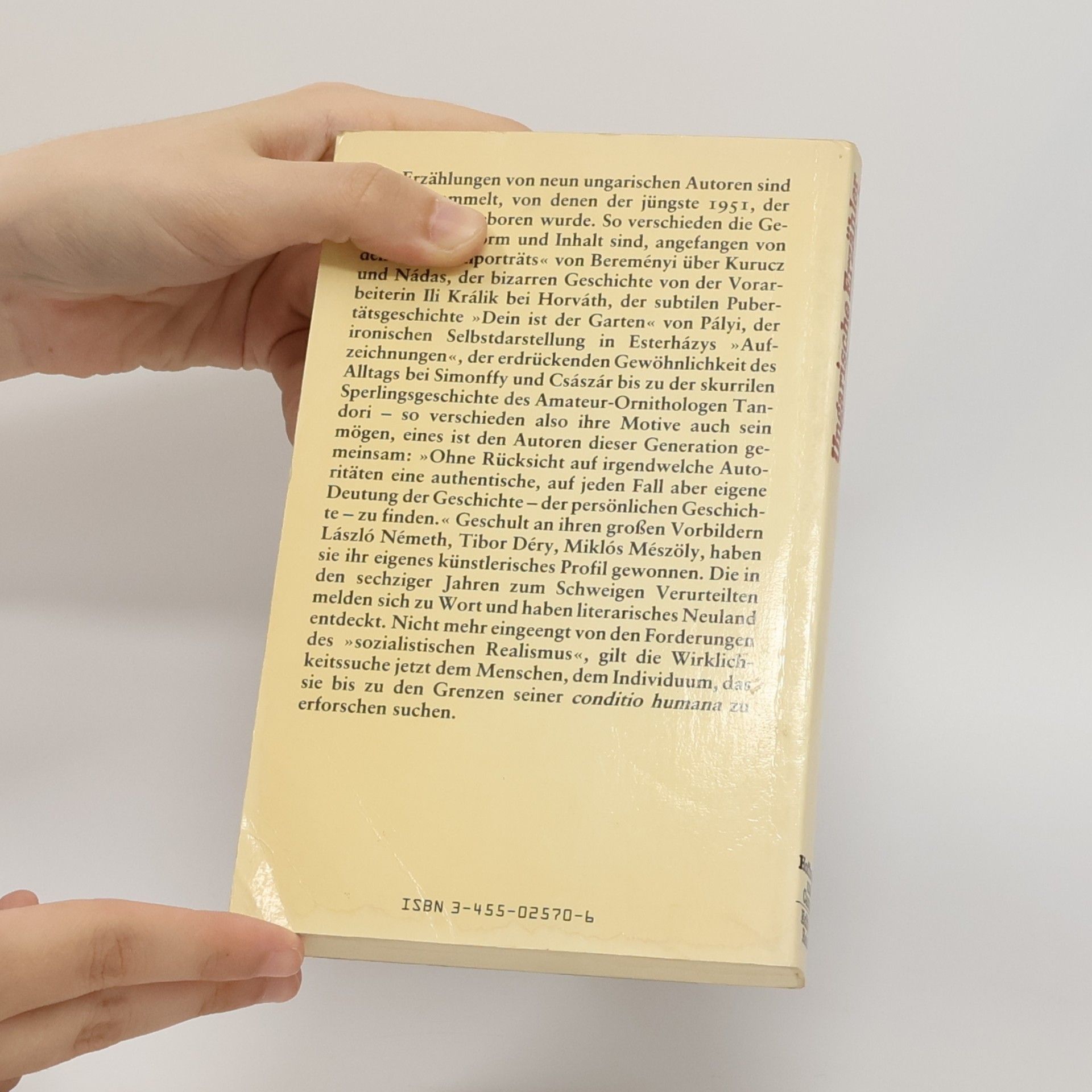 Hildegard Grosche Ungarische Erzähler der Gegenwart (German Edition)