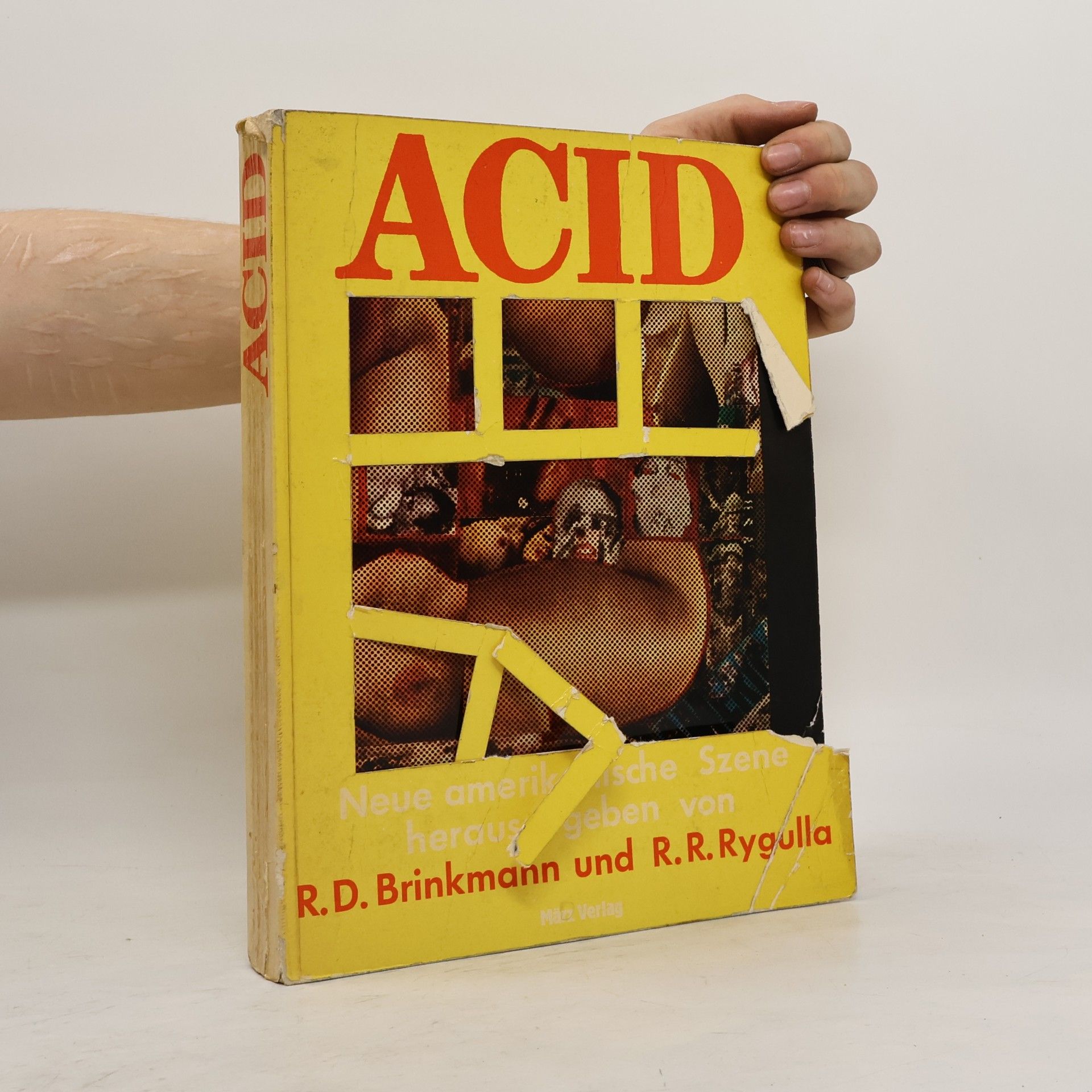 Rolf Dieter Brinkmann Acid