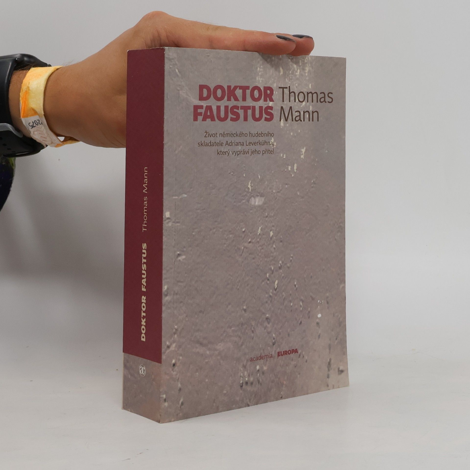 Thomas Mann Doktor Faustus
