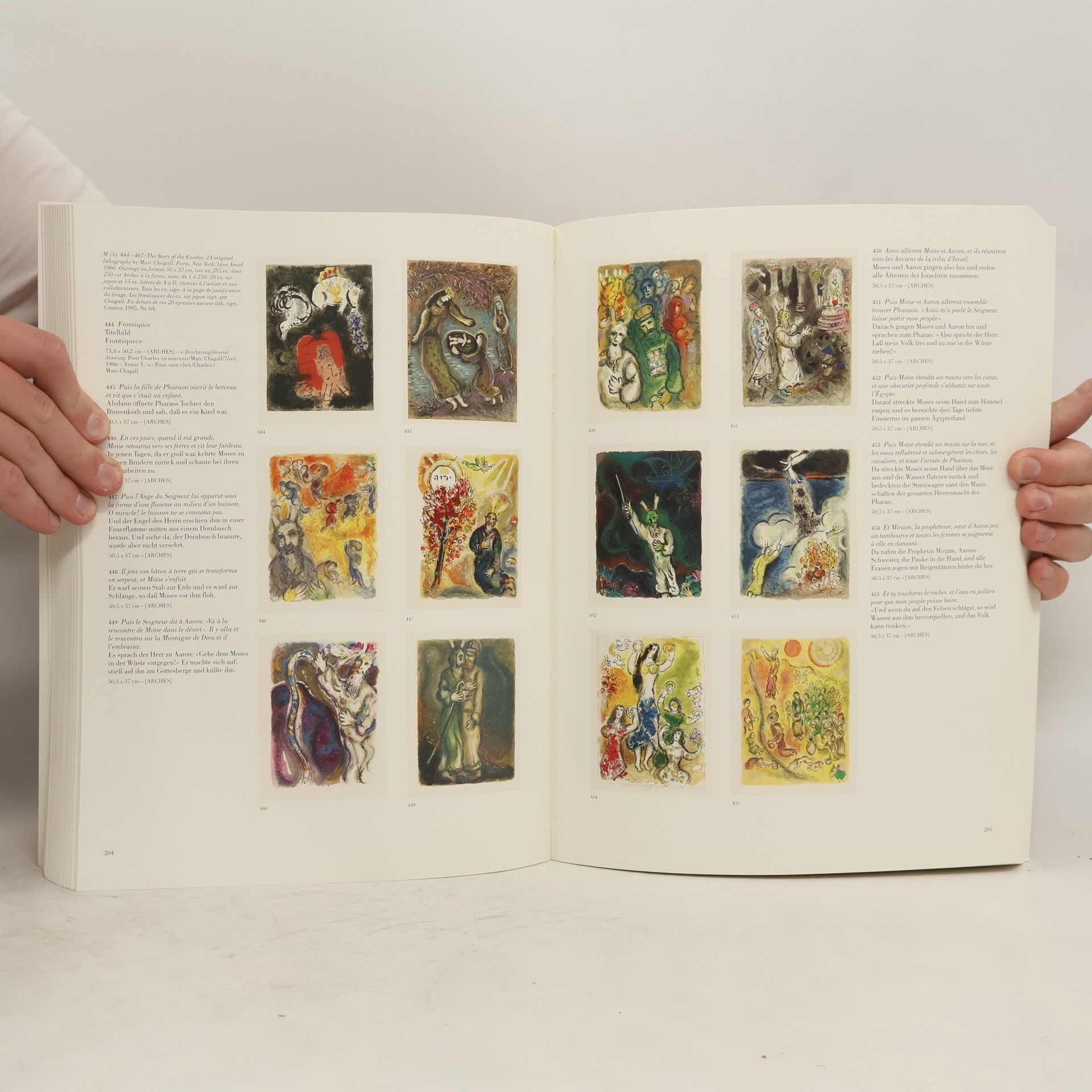 Marc Chagall Marc Chagall, Die Lithographien