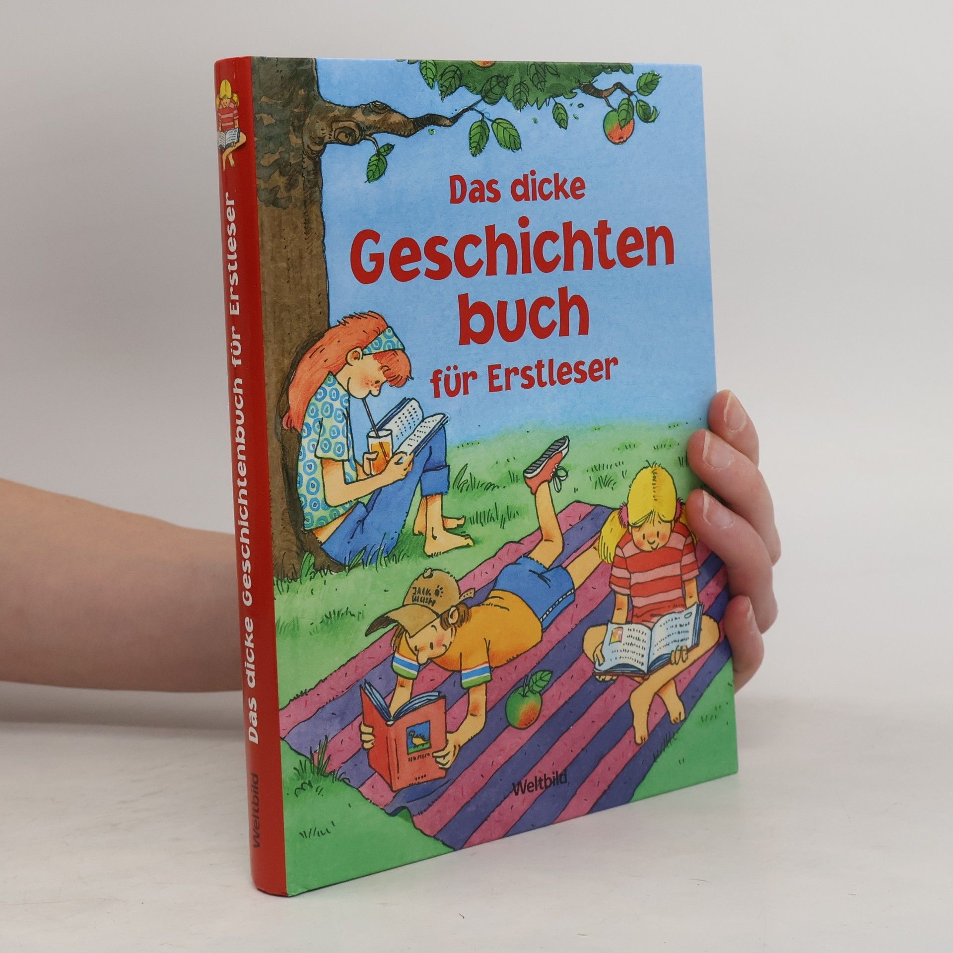 Autorenkollektiv Das dicke Geschichtenbuch für Erstleser