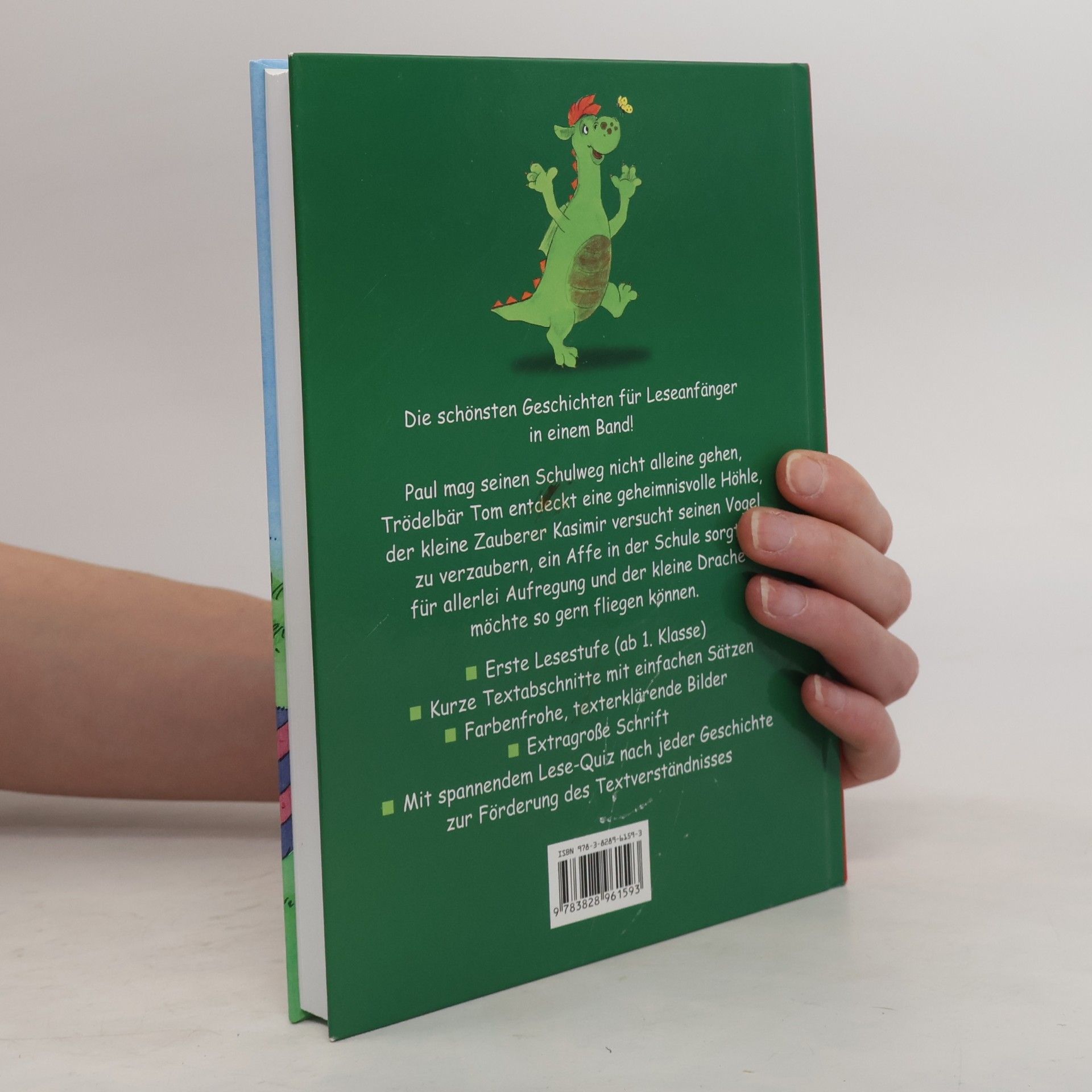 Das dicke Geschichtenbuch für Erstleser