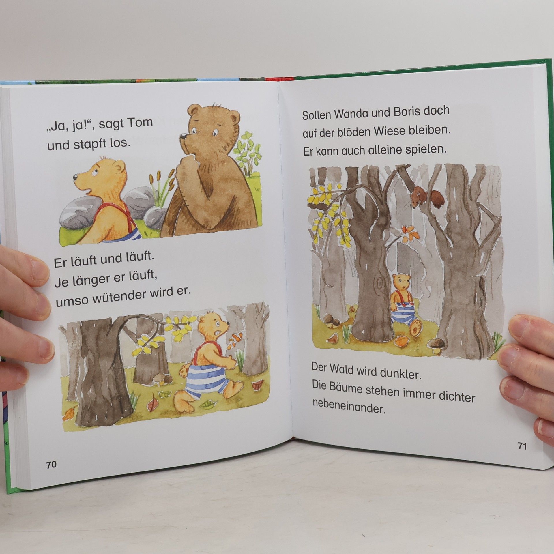 Das dicke Geschichtenbuch für Erstleser