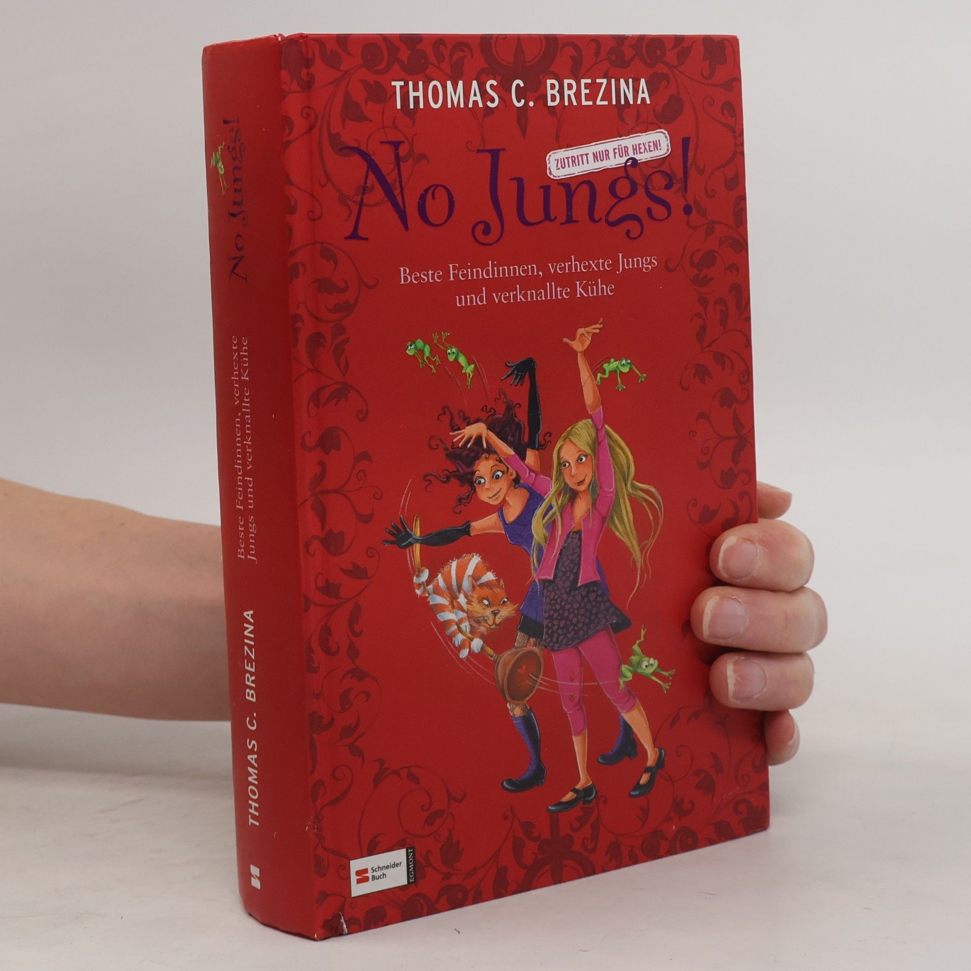 Thomas Brezina No Jungs! - Beste Feindinnen, verhexte Jungs und verknallte Kühe