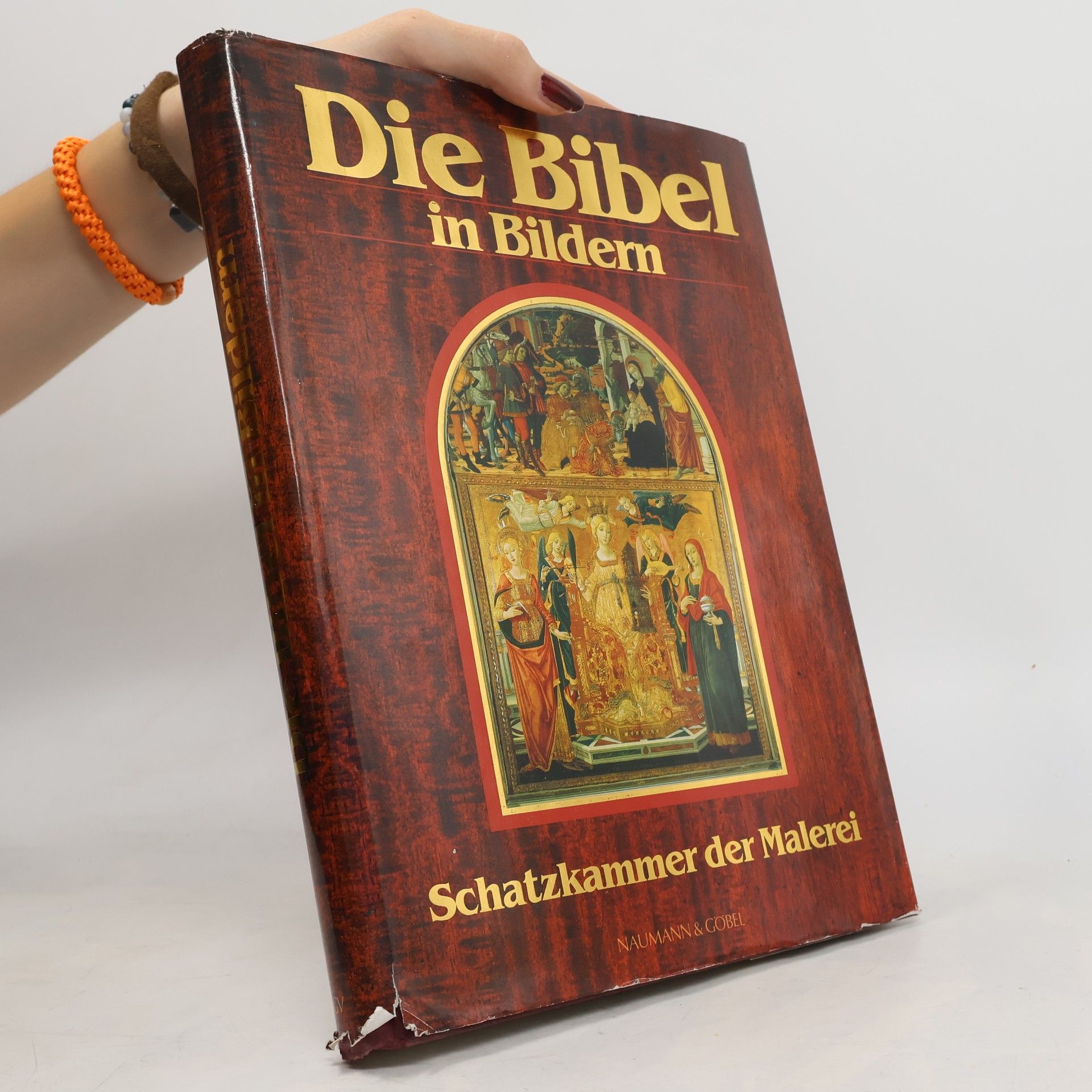 Kolektiv autorů Die Bibel im Bildern