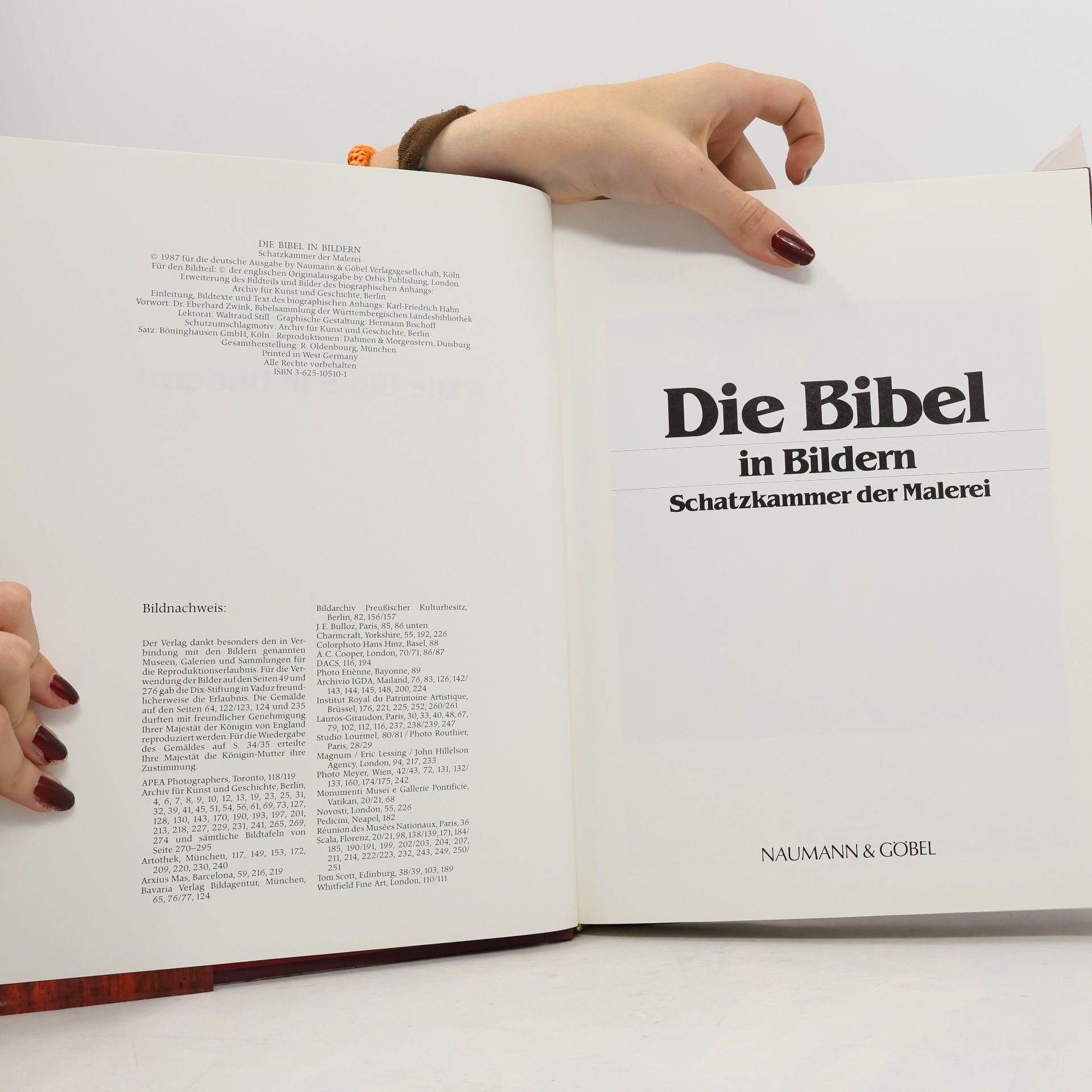 Autorenkollektiv Die Bibel im Bildern