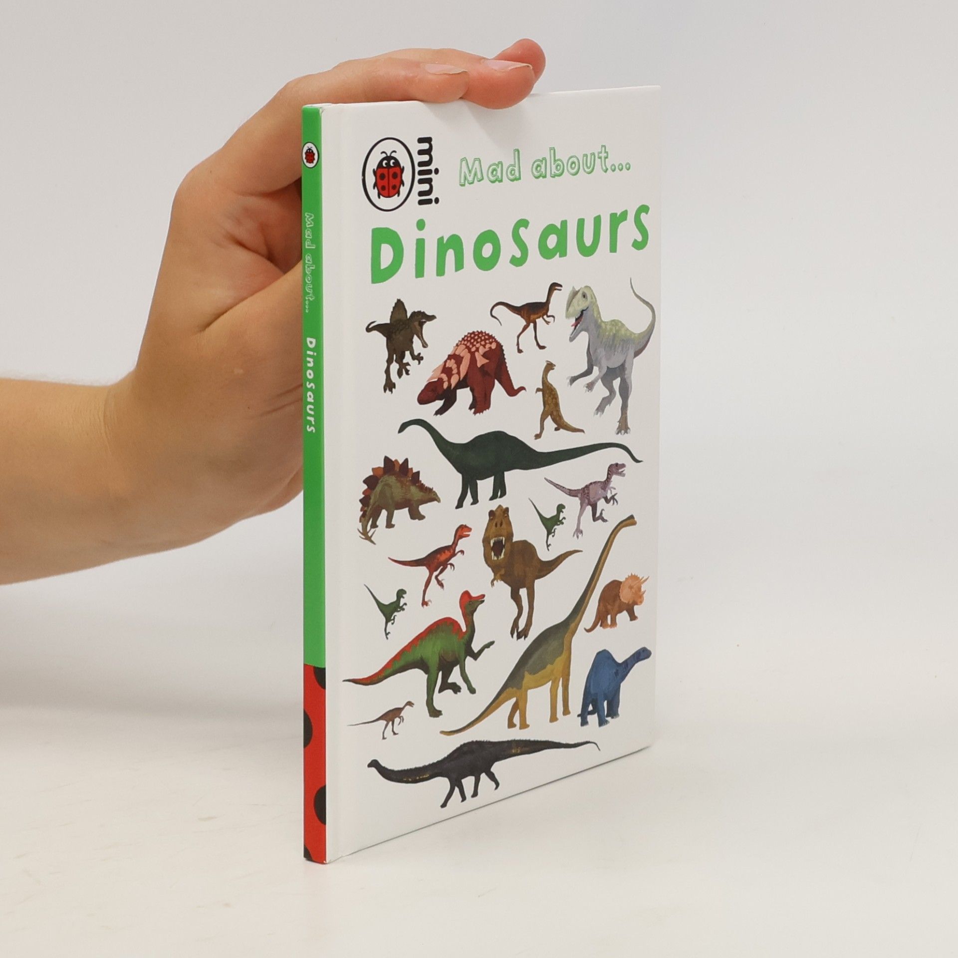 Claire Hawcock Mad about... Dinosaurs