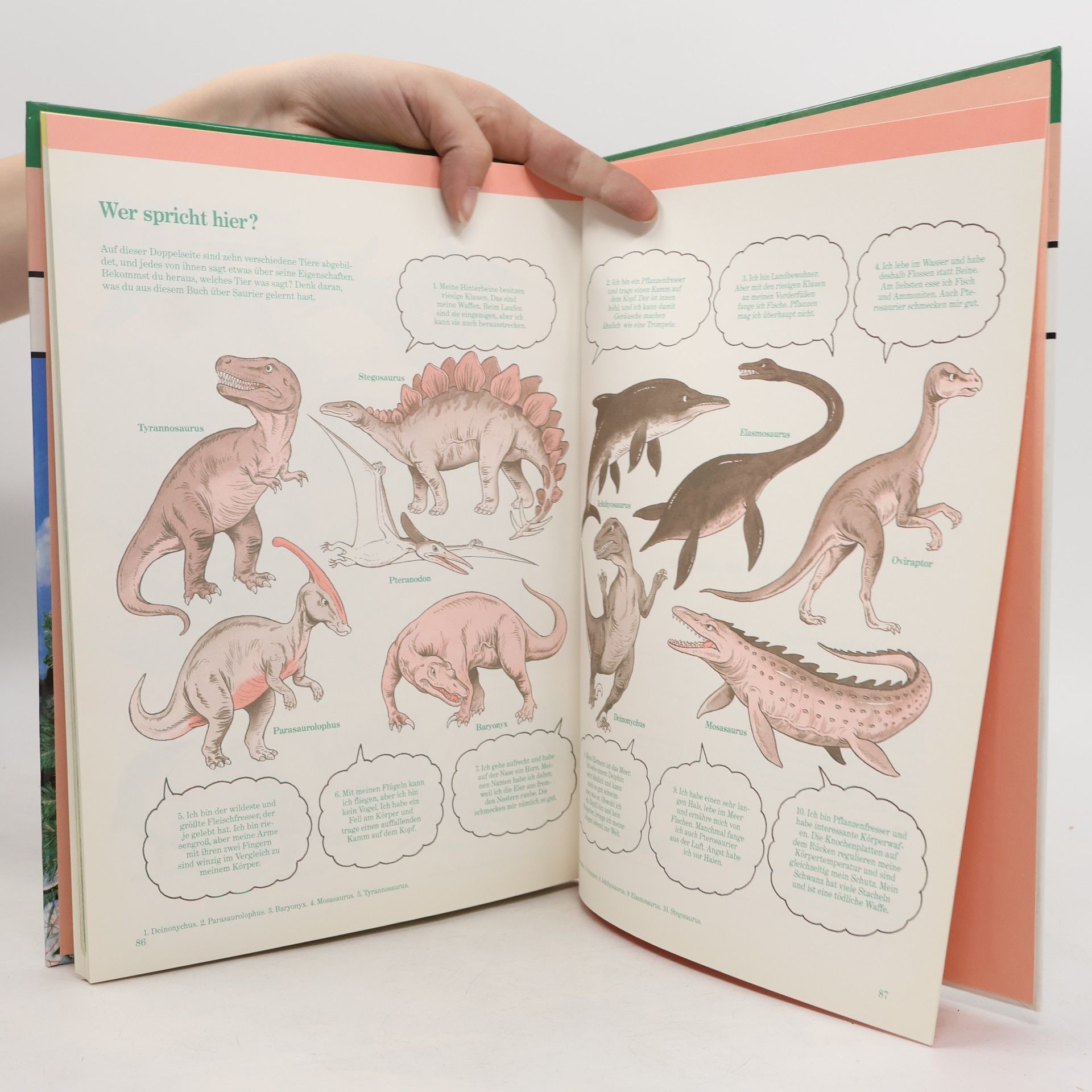 Kolektiv autorů Die Welt der Dinosaurier