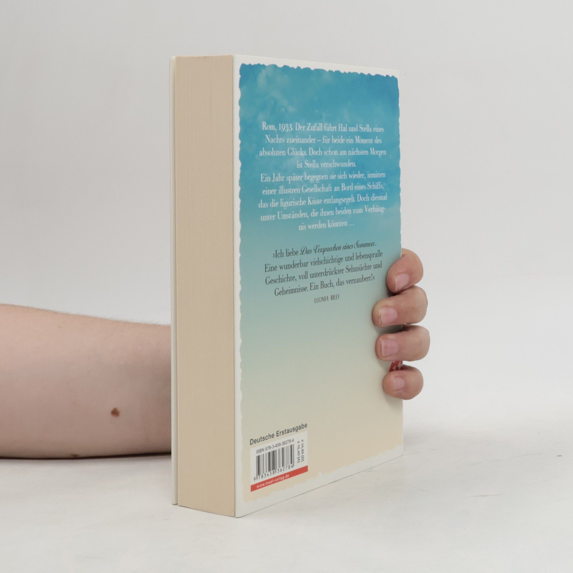 Lucy Foley Das Versprechen eines Sommers