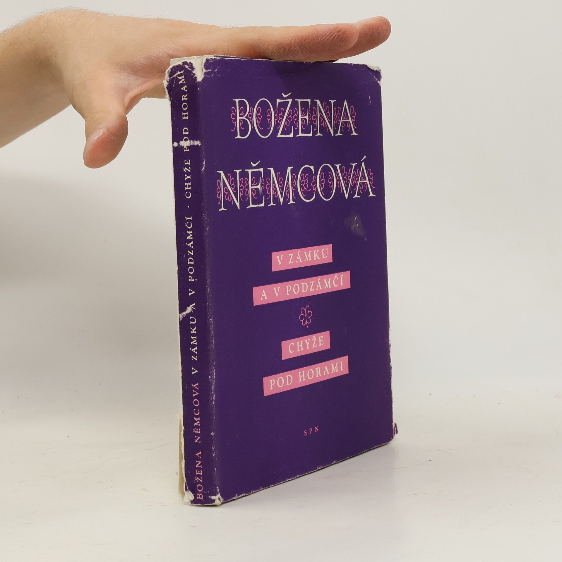 Božena Němcová V Zámku a v podzámčí. Chyže pod horami
