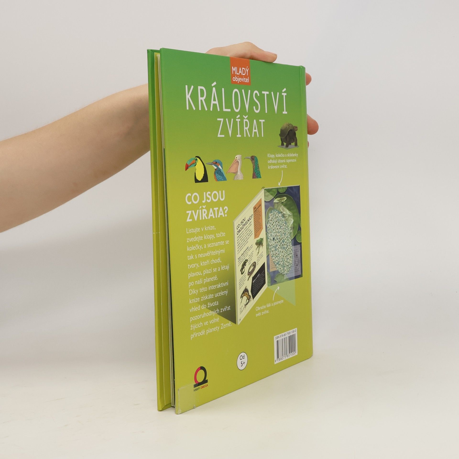 Camilla De la Bédoyère Království zvířat