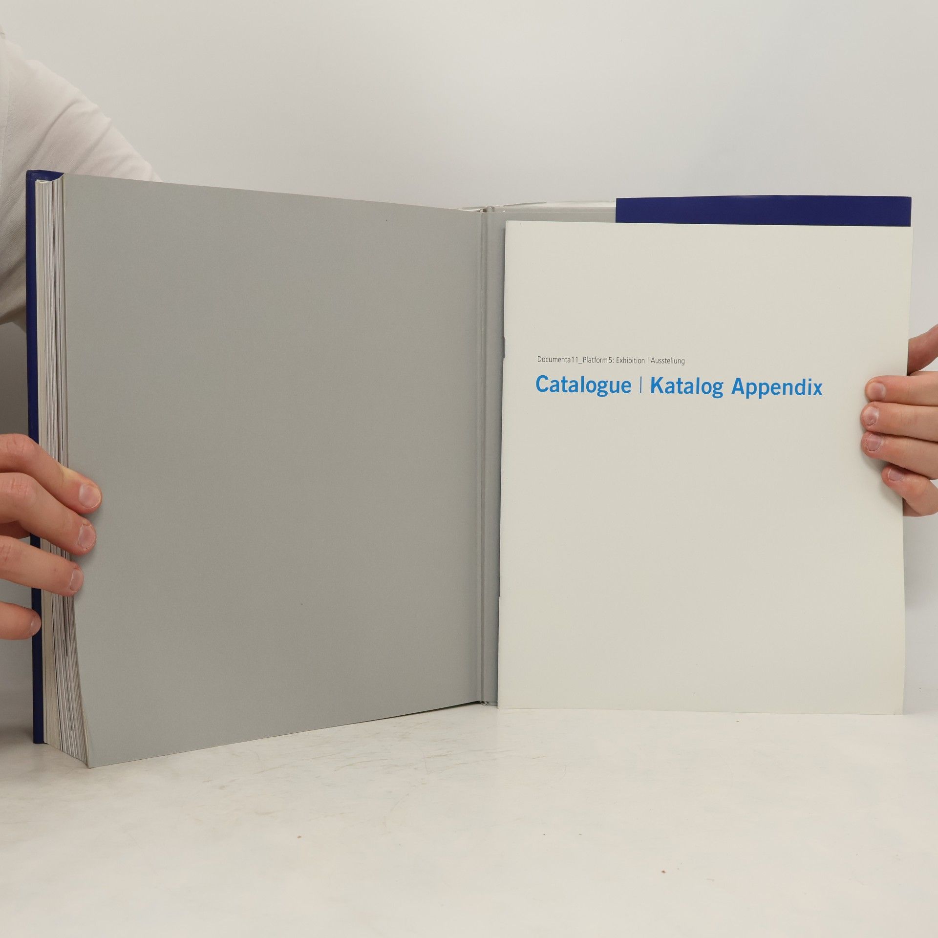 Gerti Fietzek Catalogue / Documenta 11