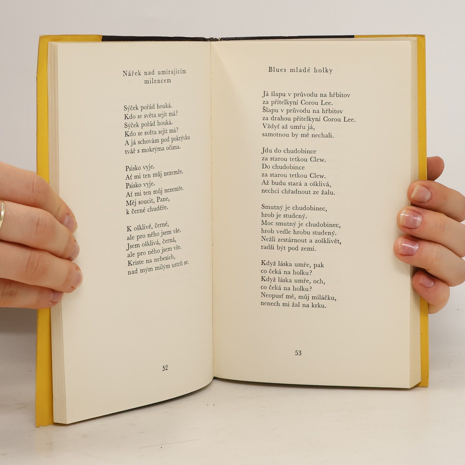 Langston Hughes Černoch si zpívá blues