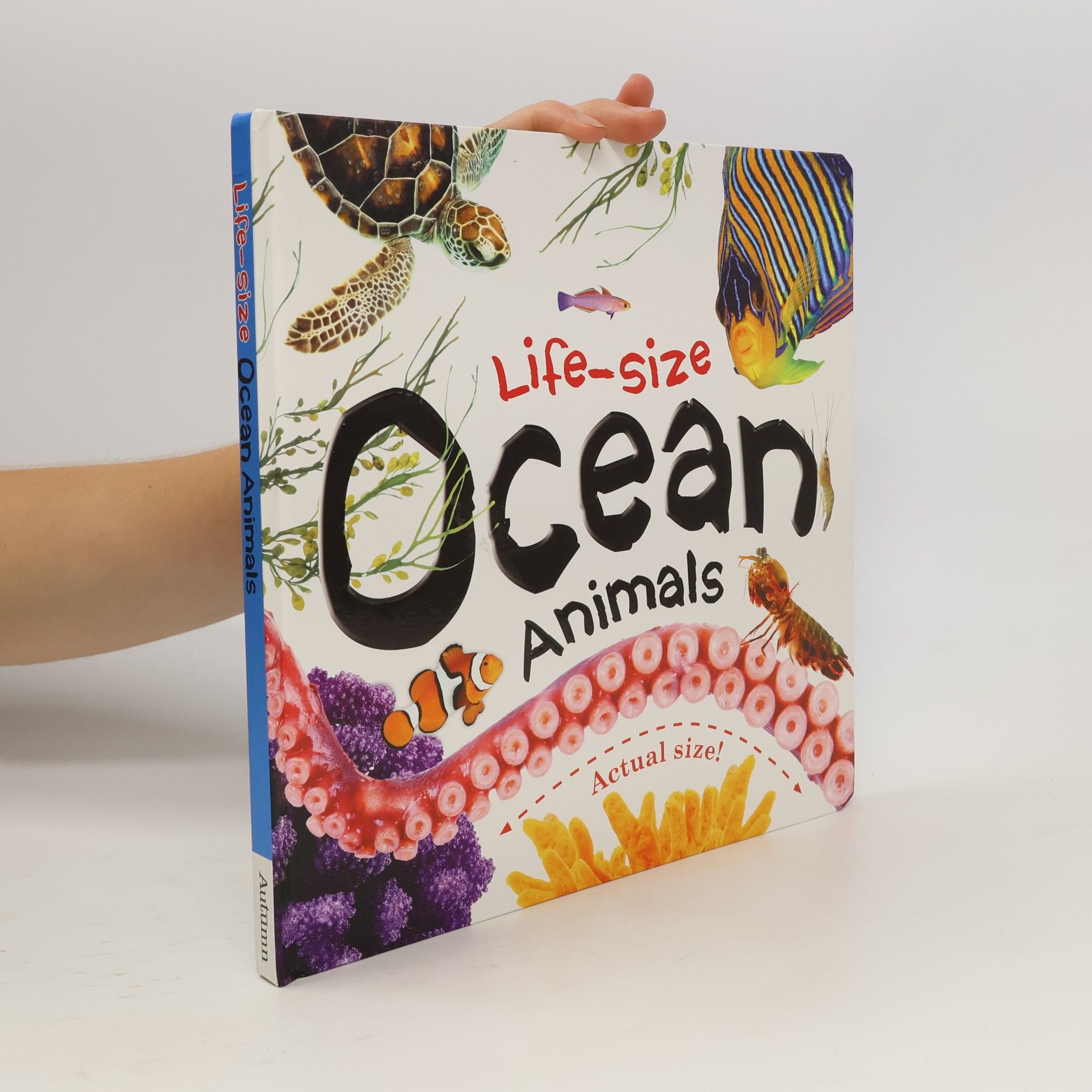 Various authors Life-Size Boards: Life-Size: Ocean Animals