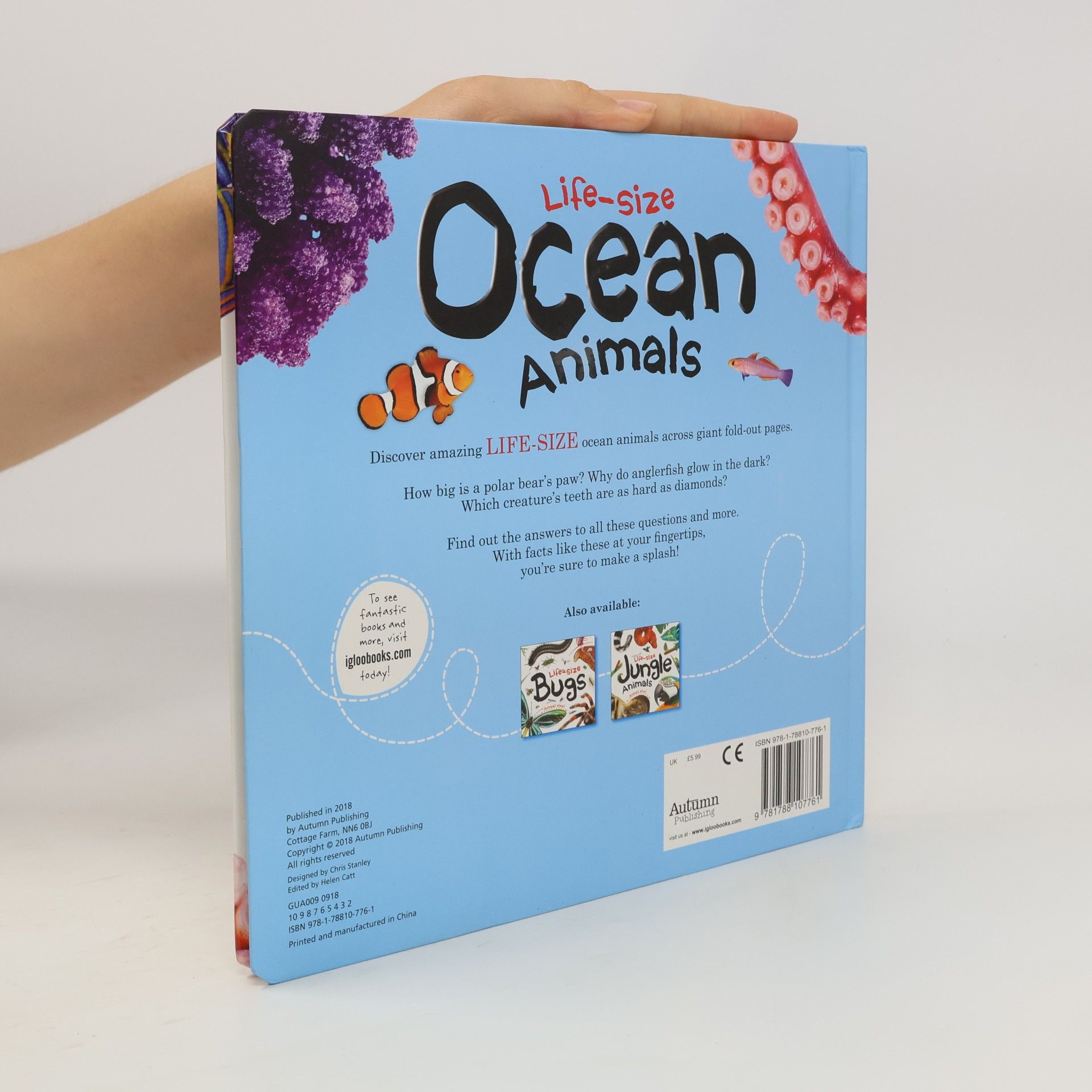 Life-Size Boards: Life-Size: Ocean Animals
