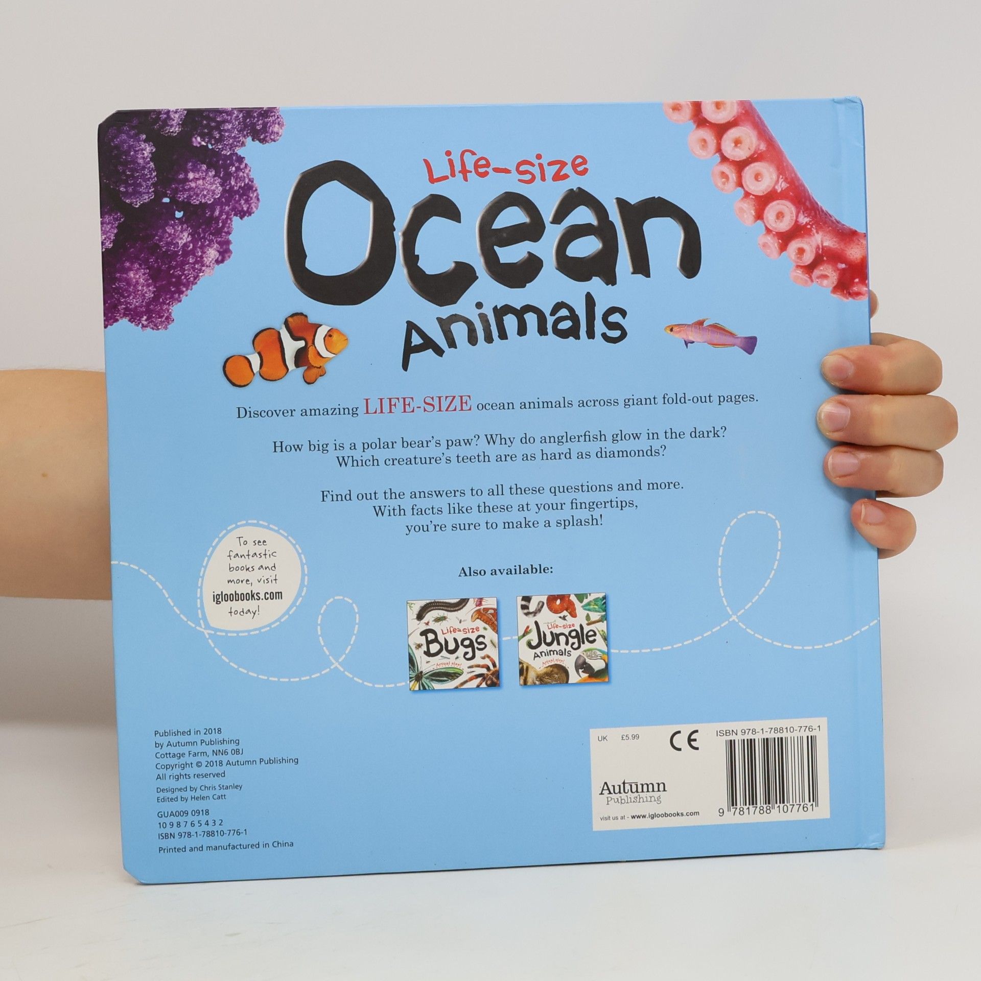 Life-Size Boards: Life-Size: Ocean Animals