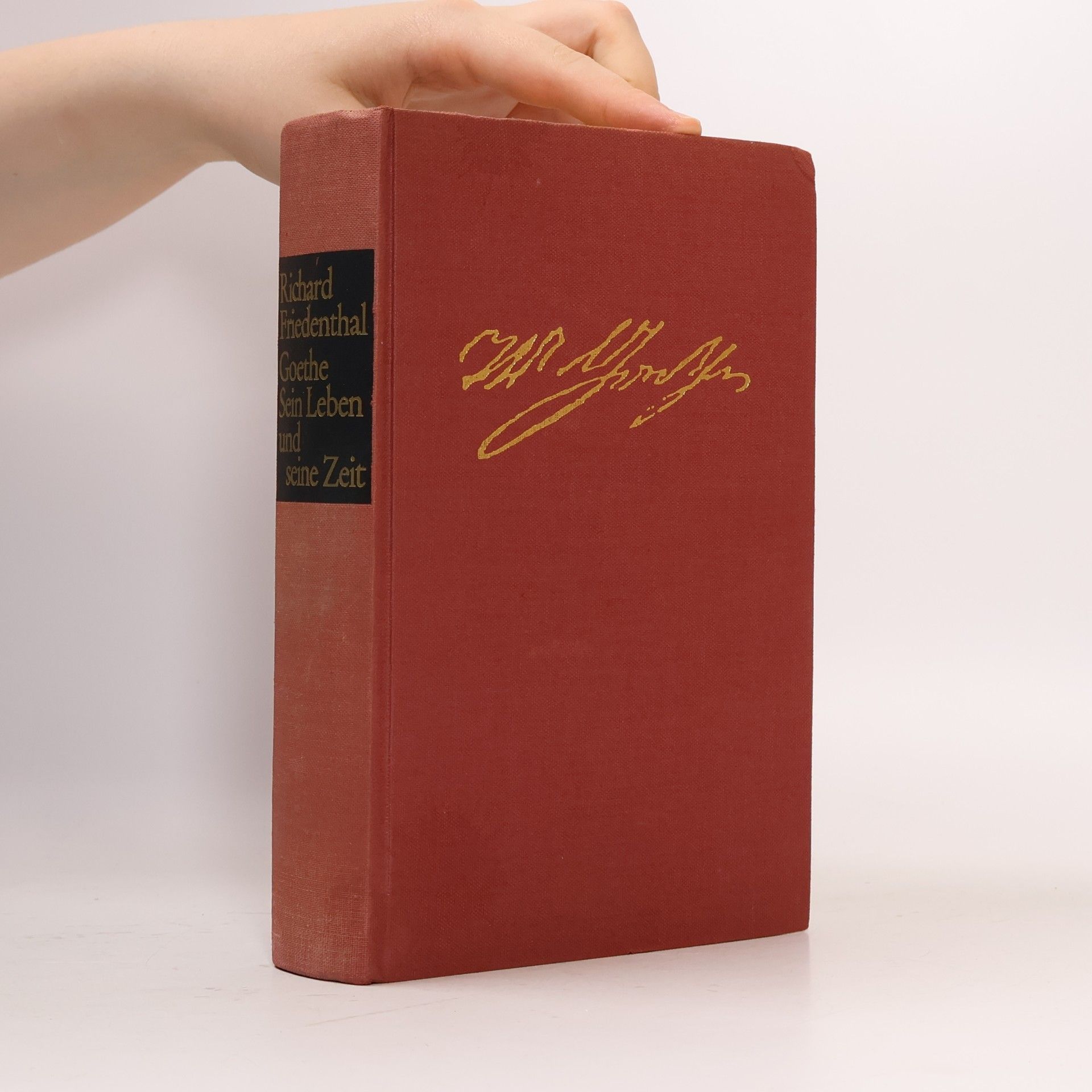 Rihard Fridental Goethe. Sein Leben und seine Zeit