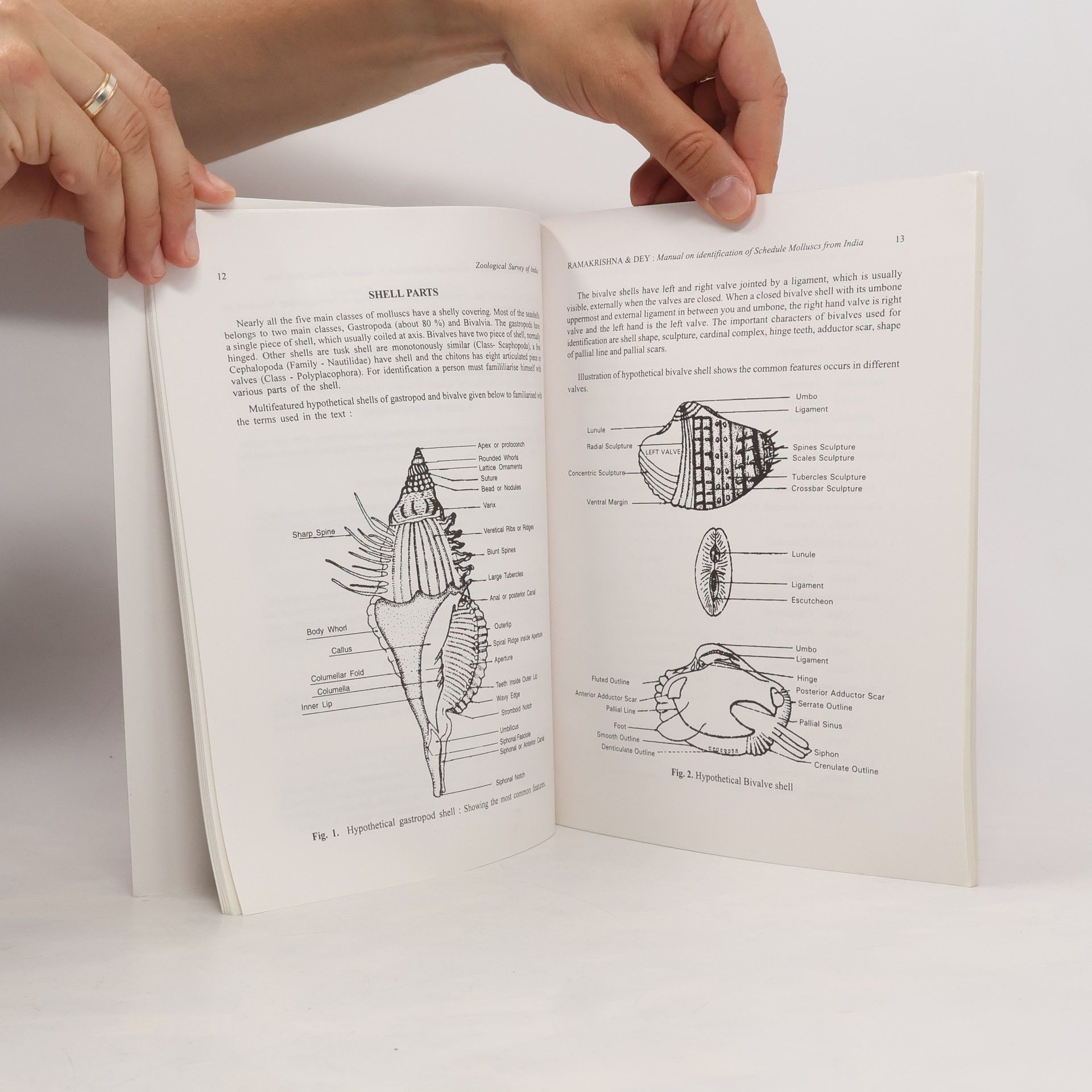 G. Ramakrishna Manual on Identification of Schedule Molluscs from India