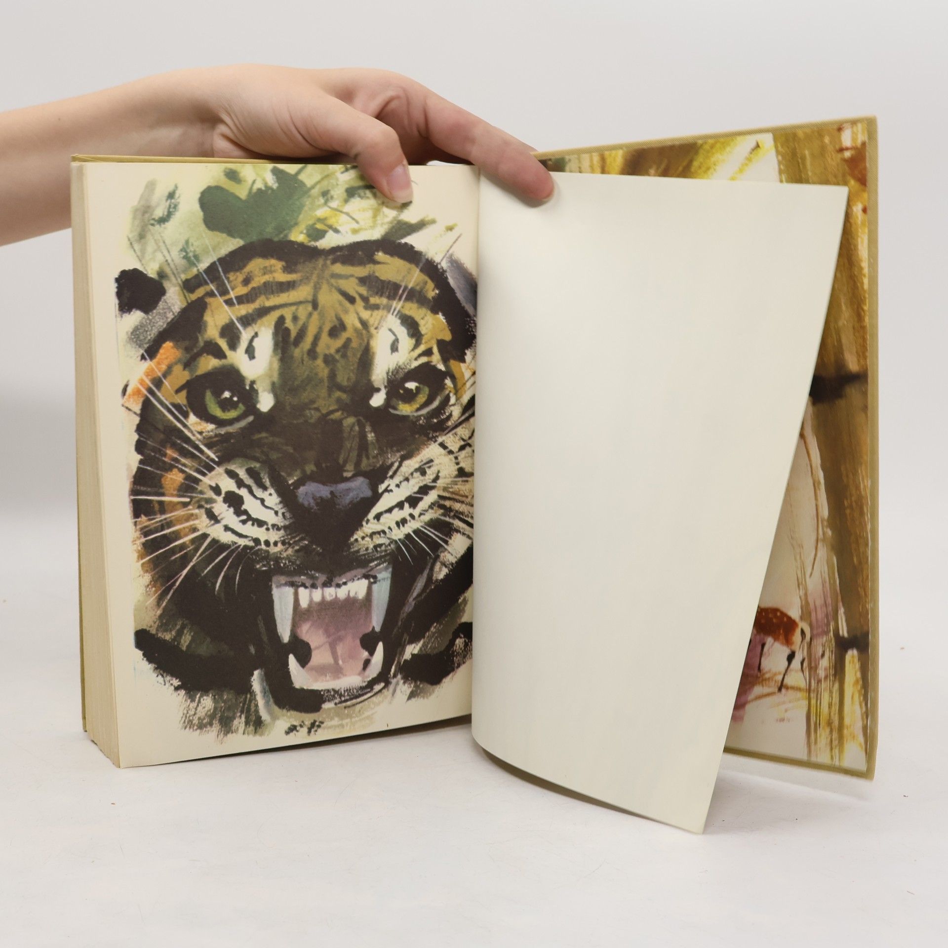 Janusz Grabiański Das große Buch der wilden Tiere
