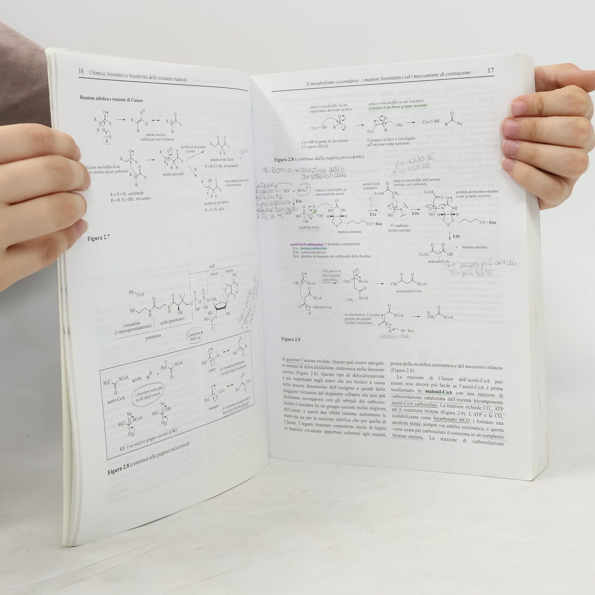 Paul M. Dewick Chimica, biosintesi e bioattività delle sostanze naturali