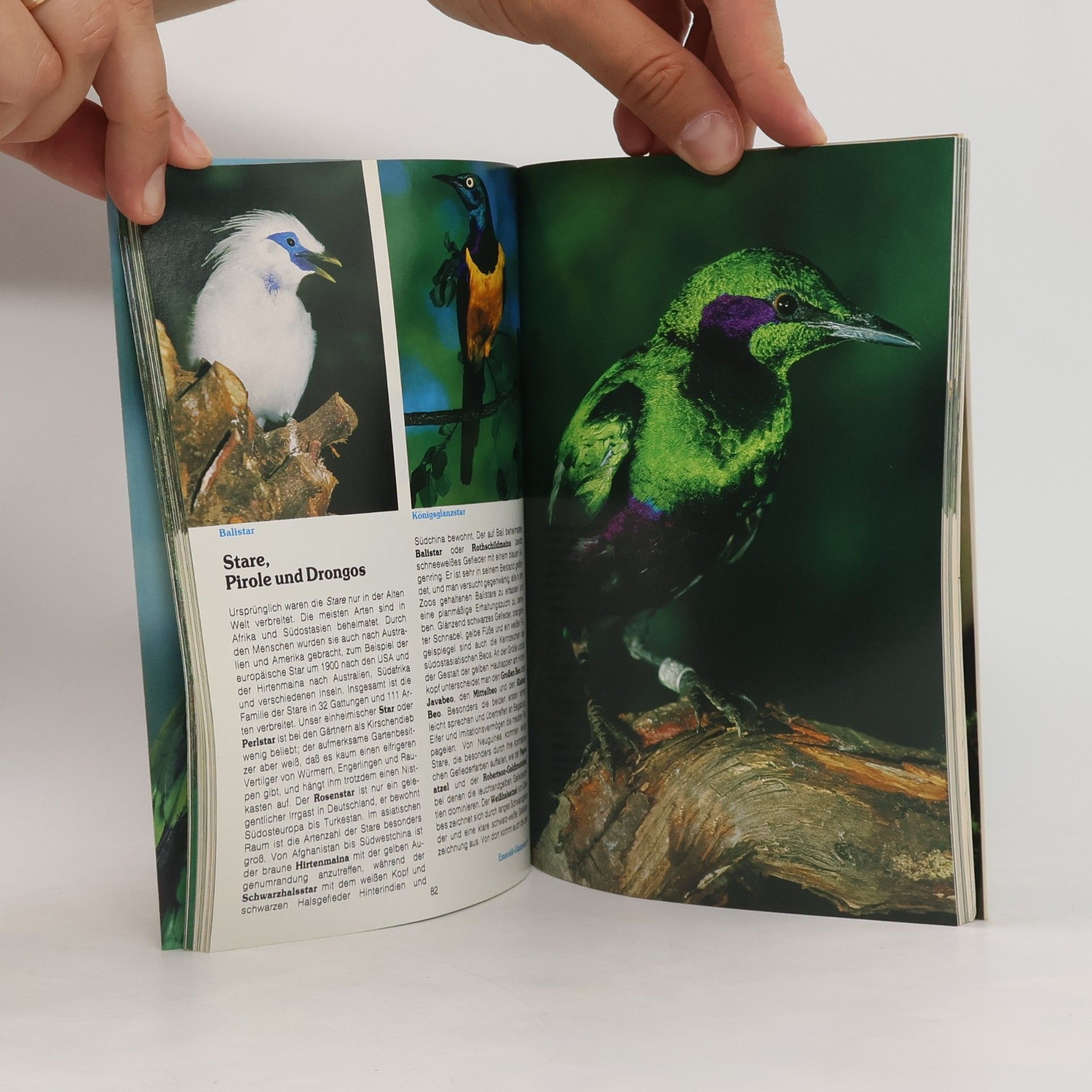 Autorenkollektiv Vogelpark Walsrode