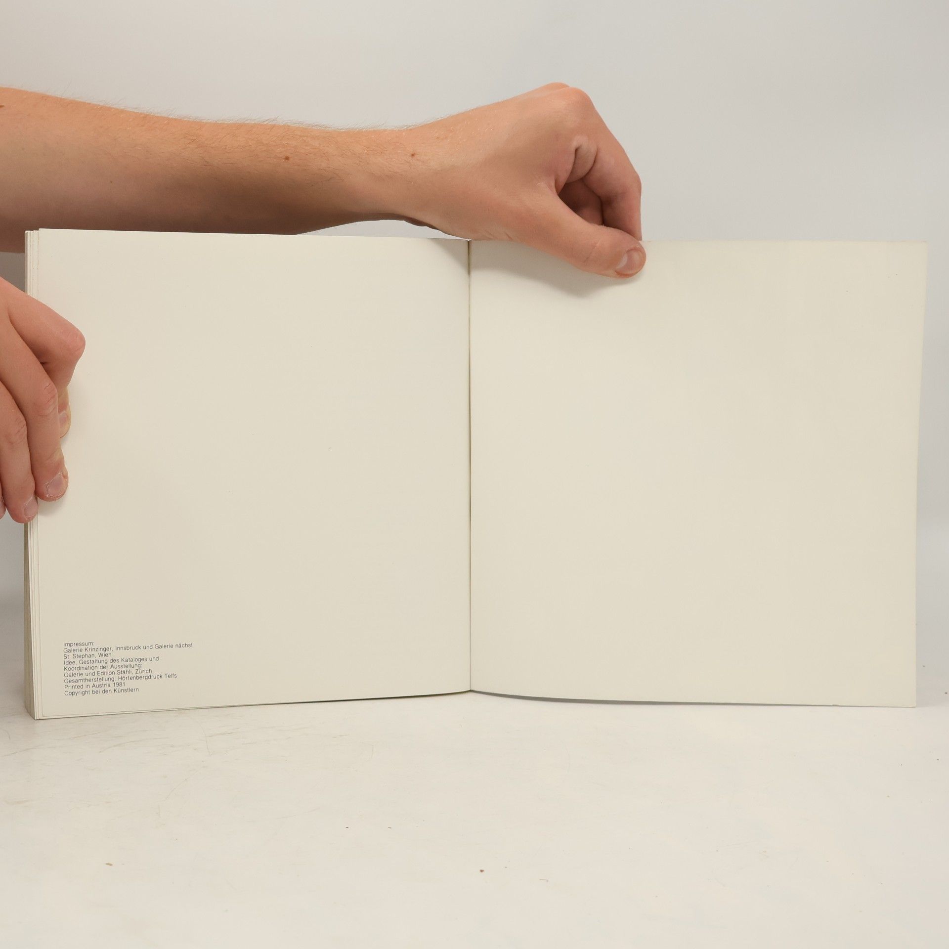 Autorenkollektiv 30 Künstler aus der Schweiz