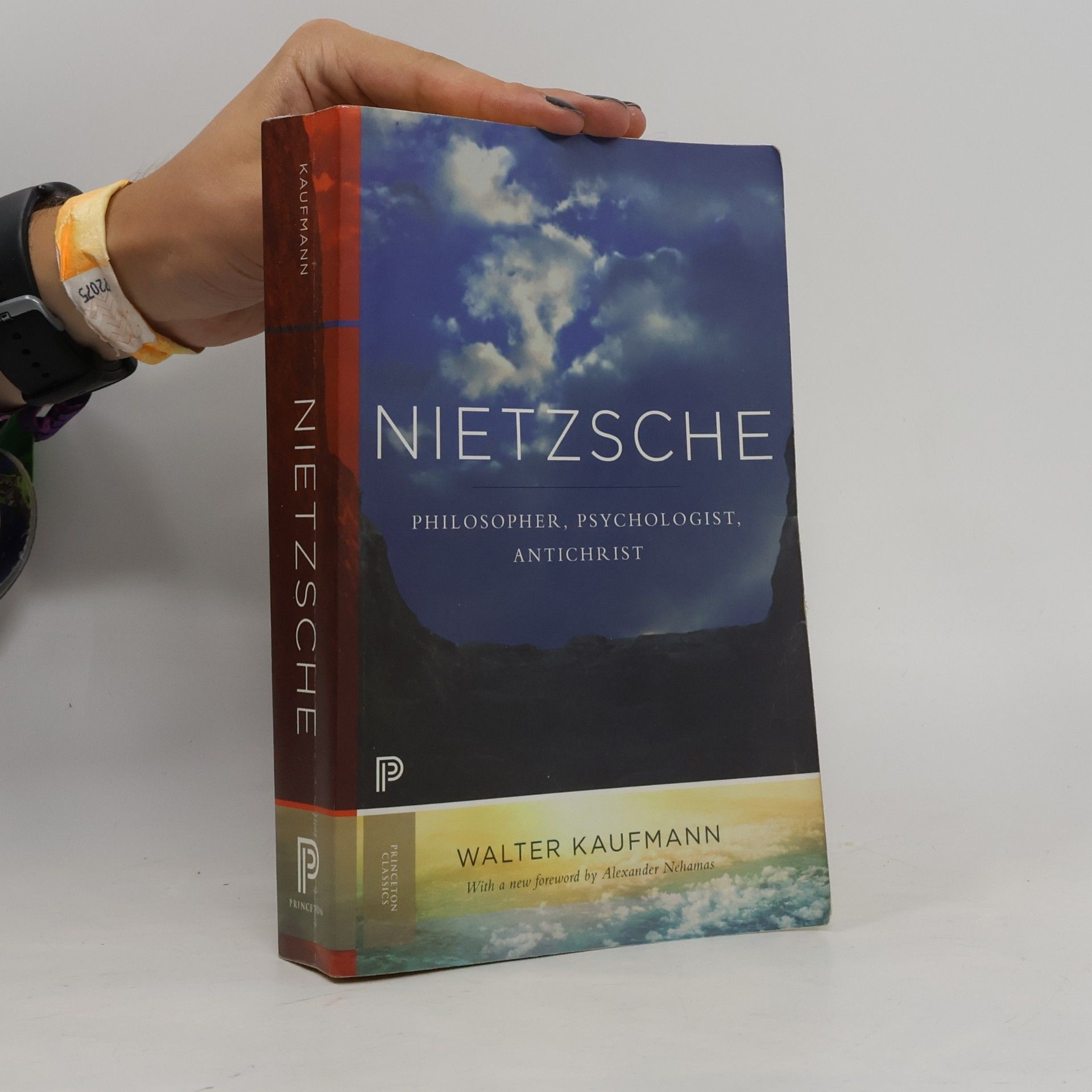 Walter A. Kaufmann Nietzsche