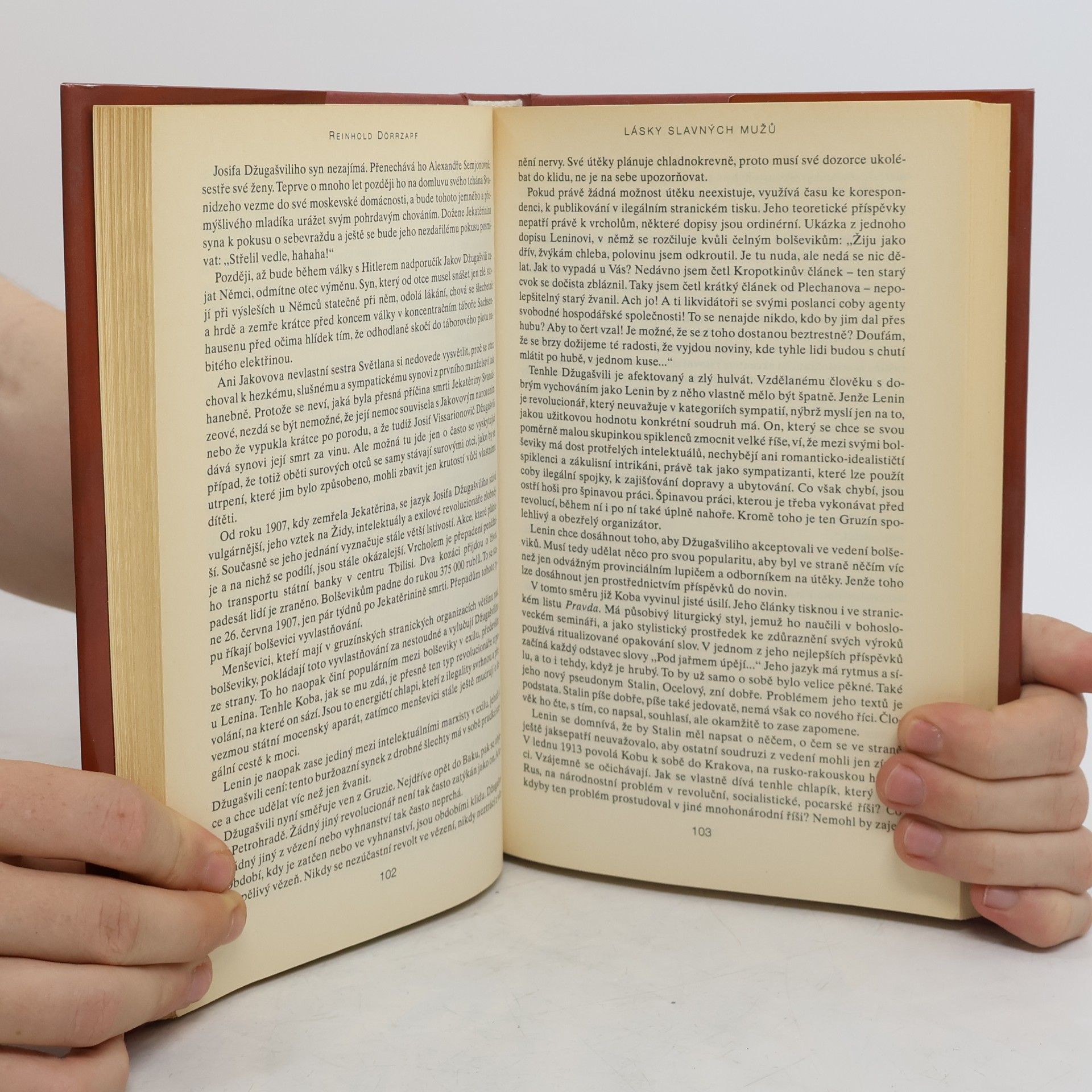 Reinhold Dörrzapf Lásky slavných mužů : čtrnáct necenzurovaných biografií