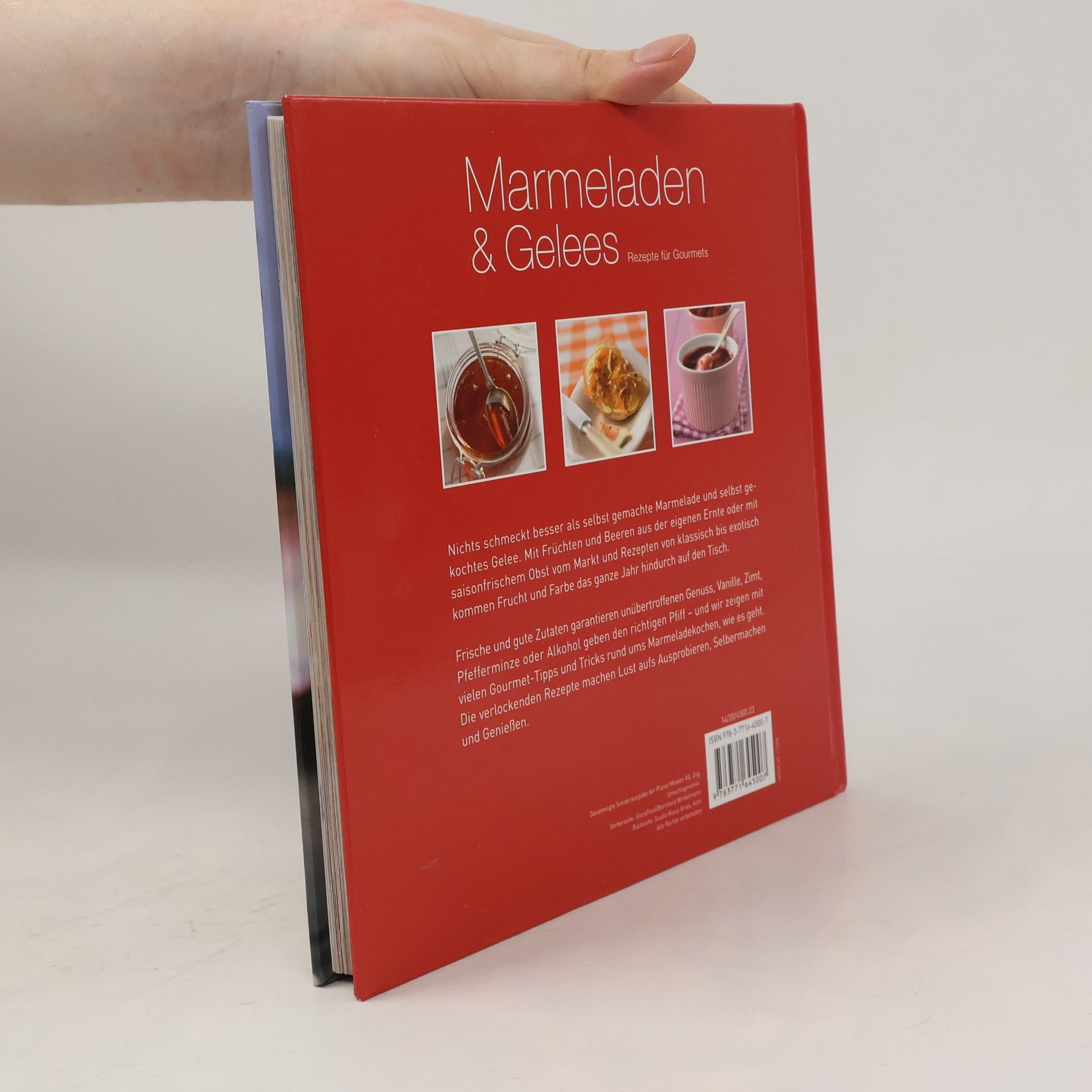 Autorenkollektiv Marmeladen & Gelees