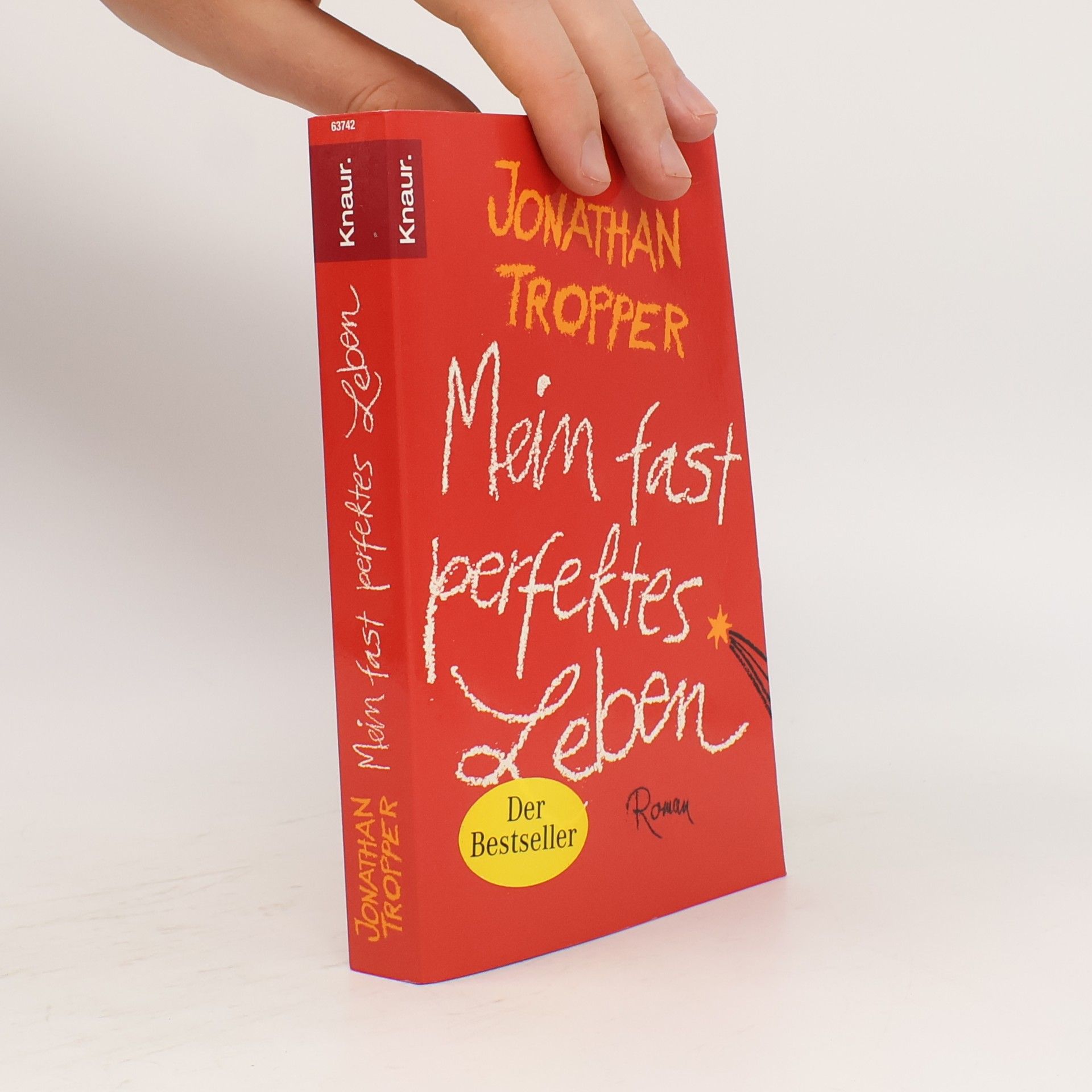 Jonathan Tropper Mein fast perfektes Leben