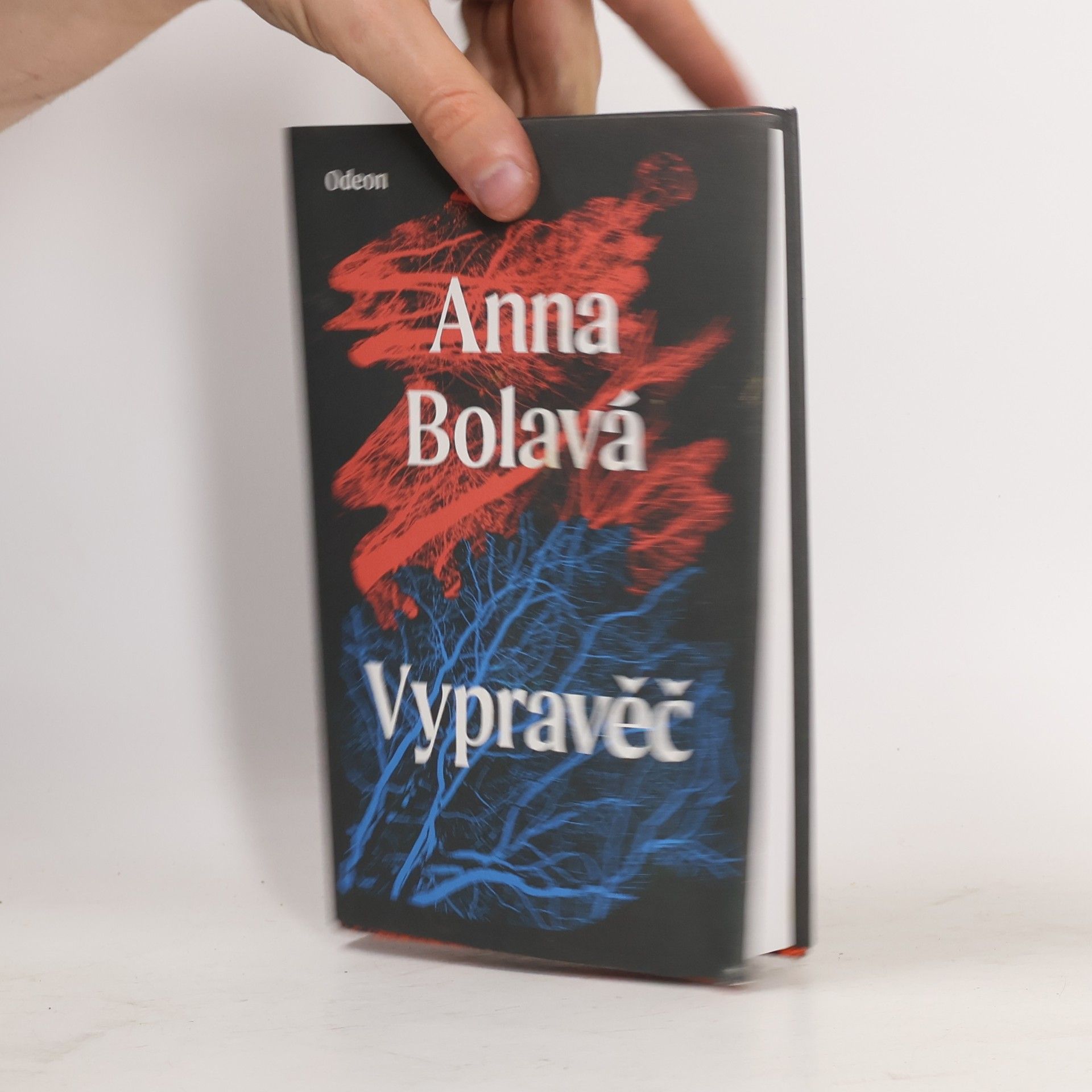 Anna Bolavá Vypravěč