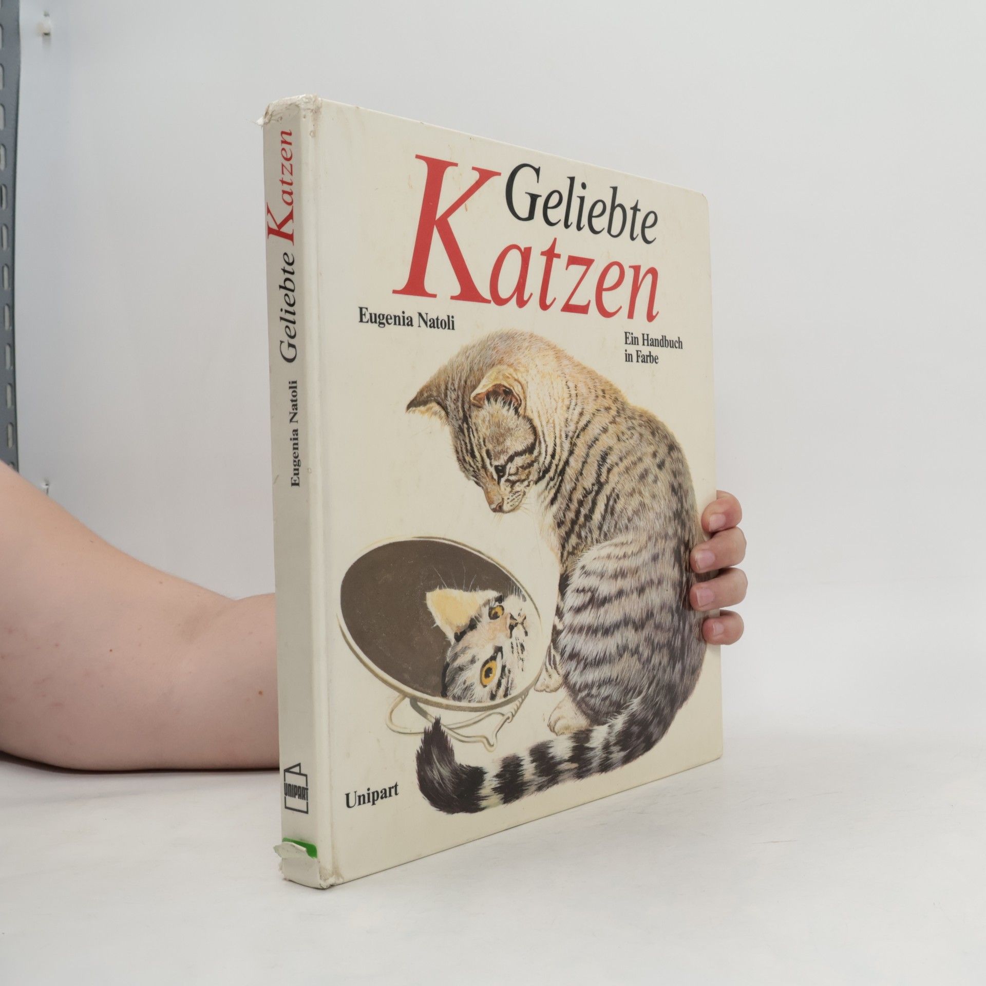 Eugenia Natoli Geliebte Katzen