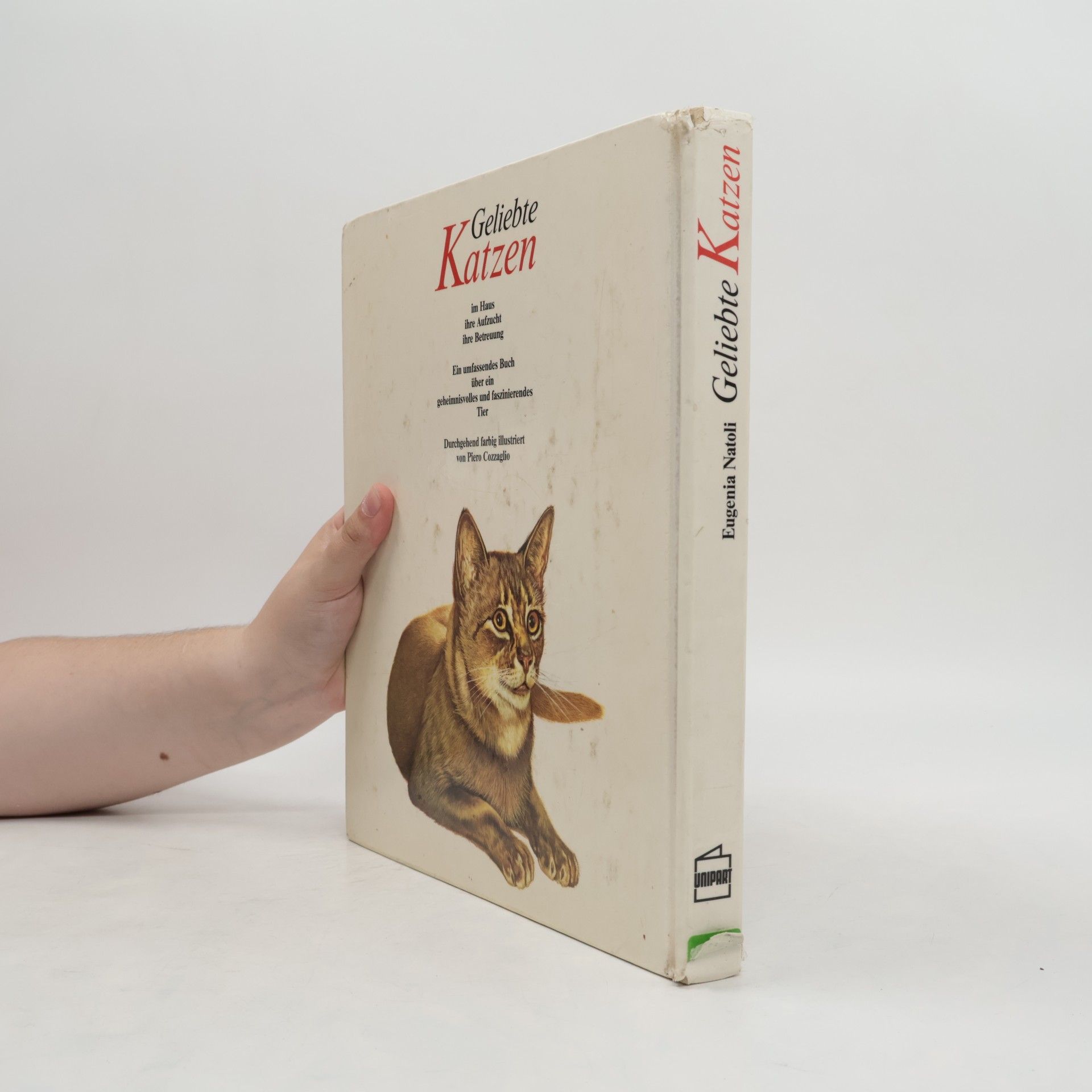 Eugenia Natoli Geliebte Katzen