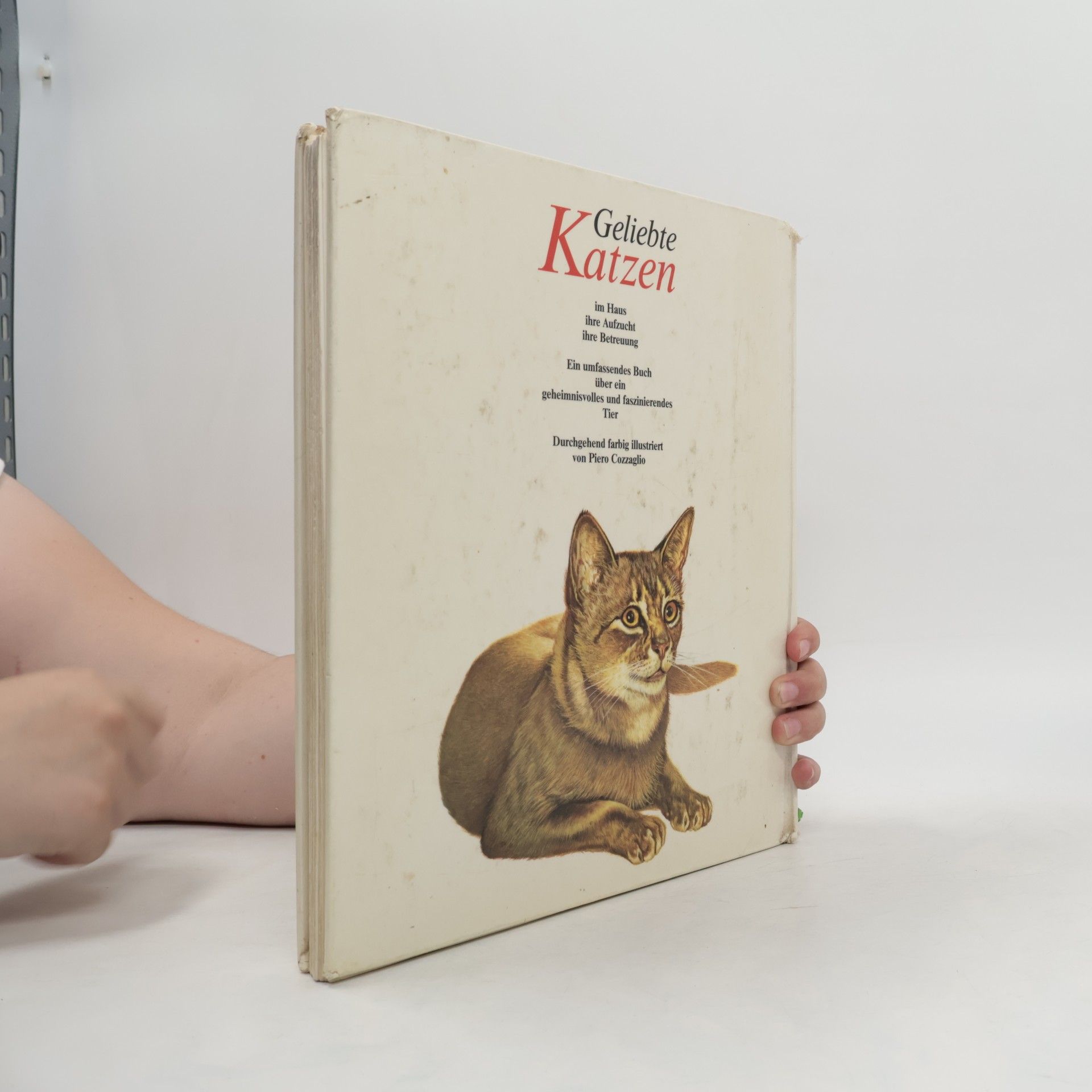 Eugenia Natoli Geliebte Katzen