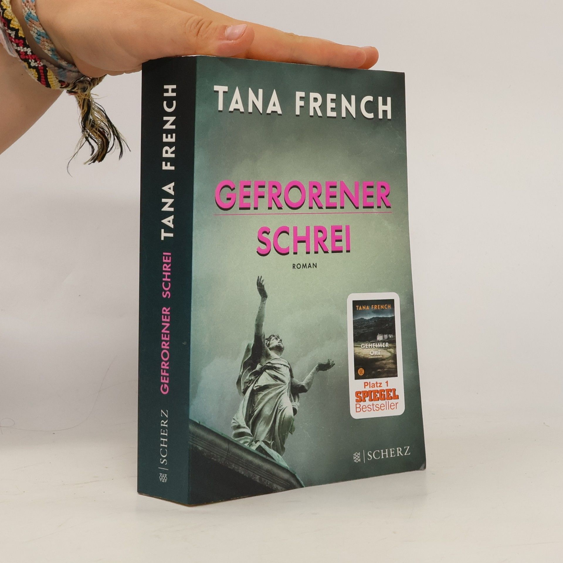Tana French Gefrorener Schrei