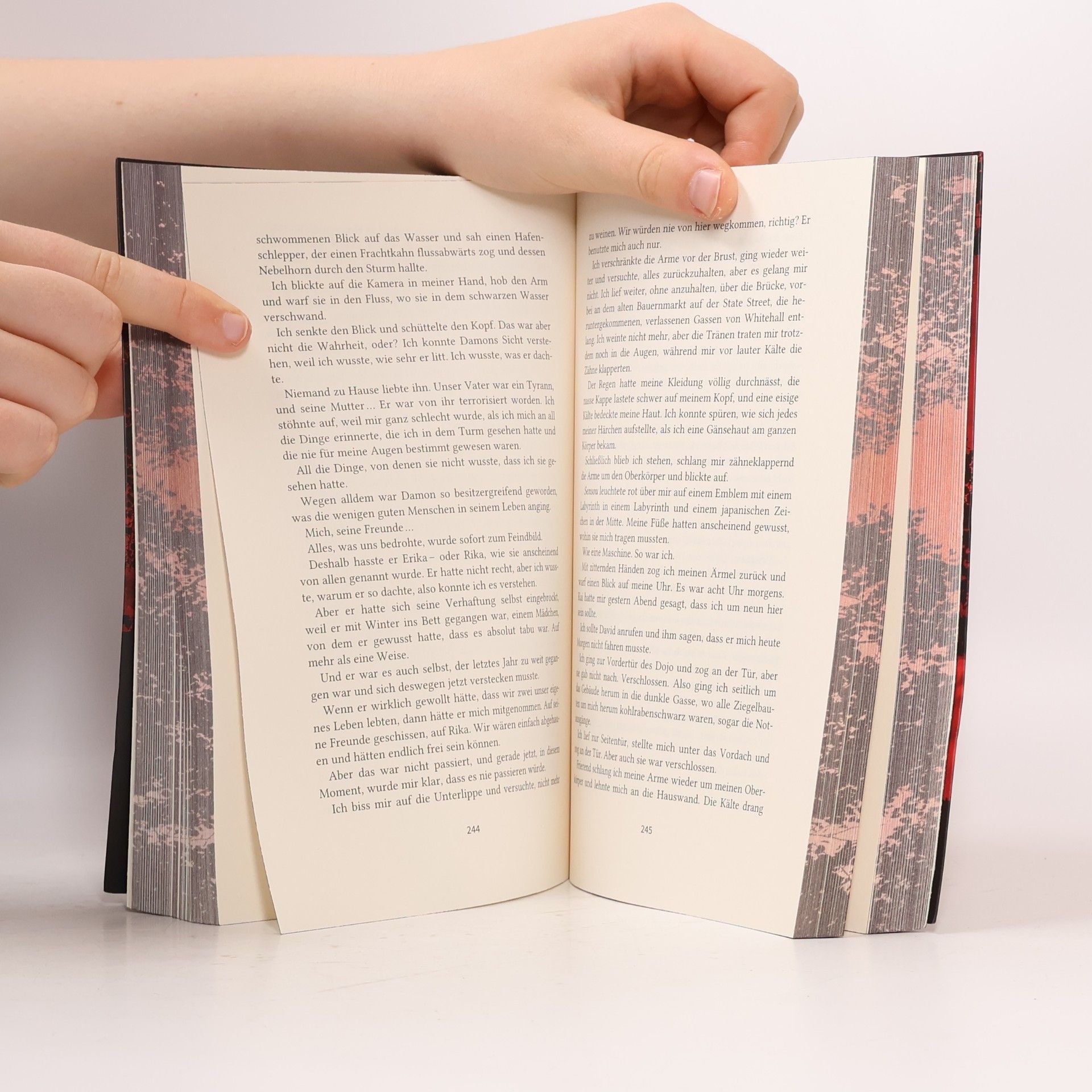 Penelope Douglas Hideaway - Verborgenes Verlangen / Devil’s Night Bd.2