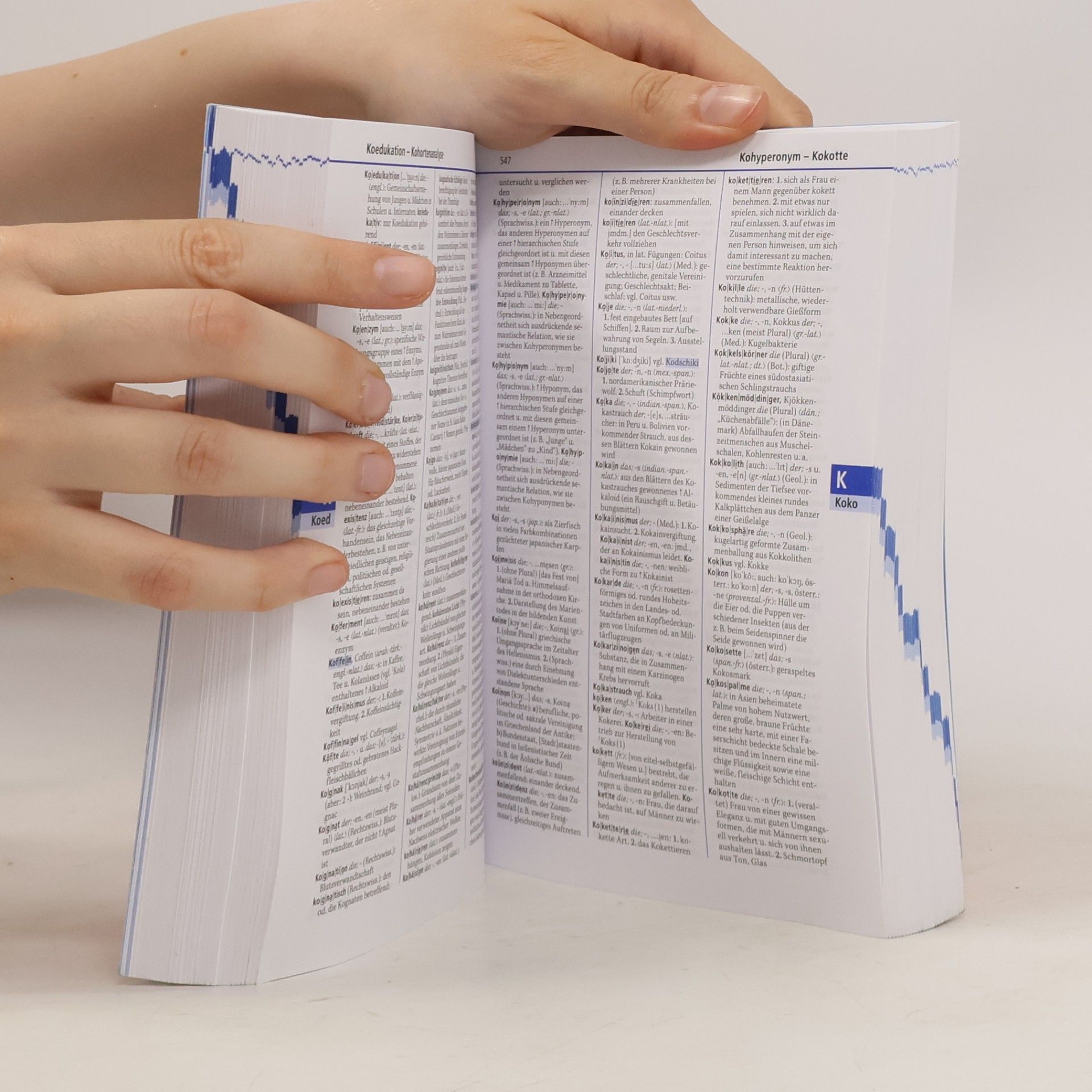 Kolektiv autorů Duden 5. Das Fremdwörterbuch