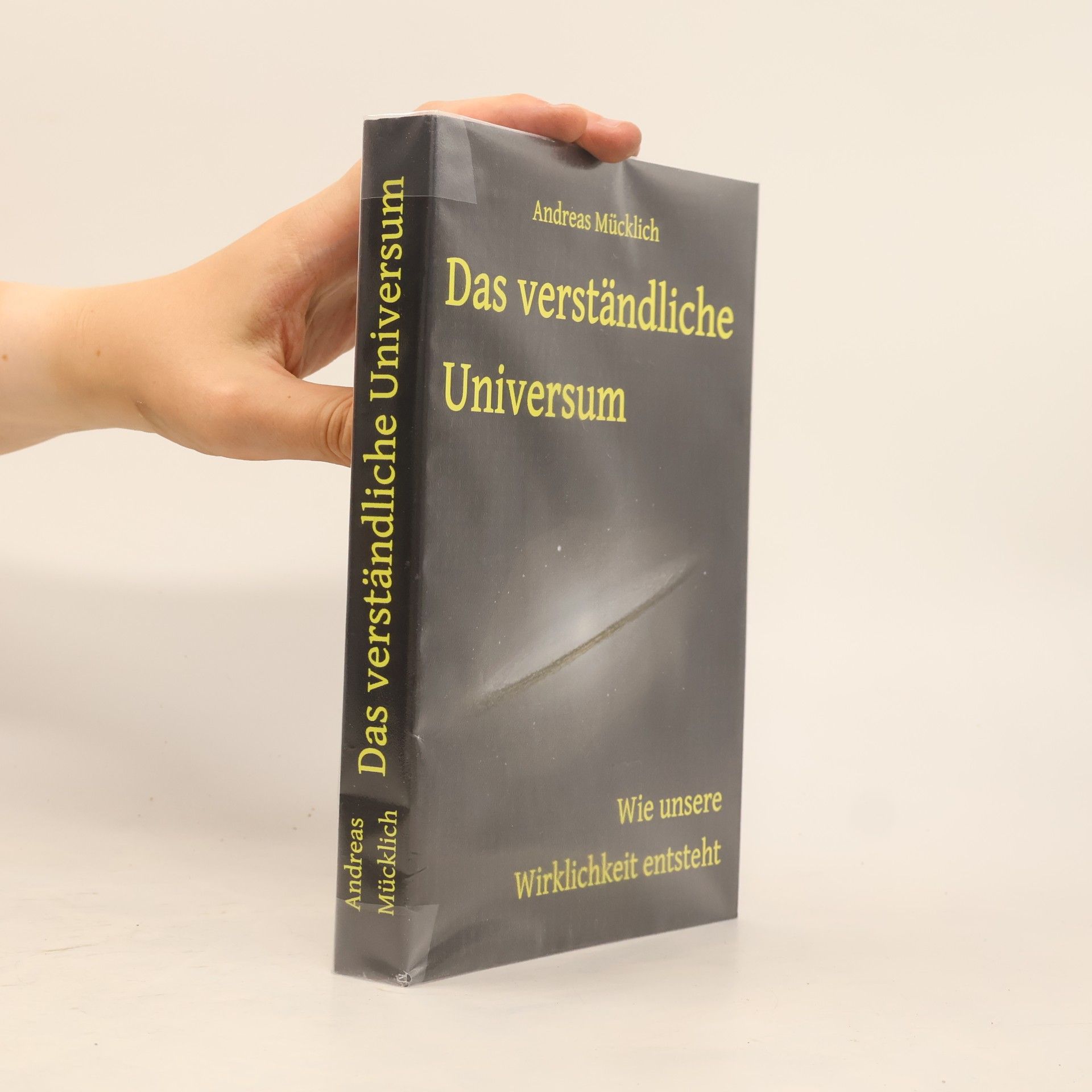 Andreas Mücklich Das verständliche Universum