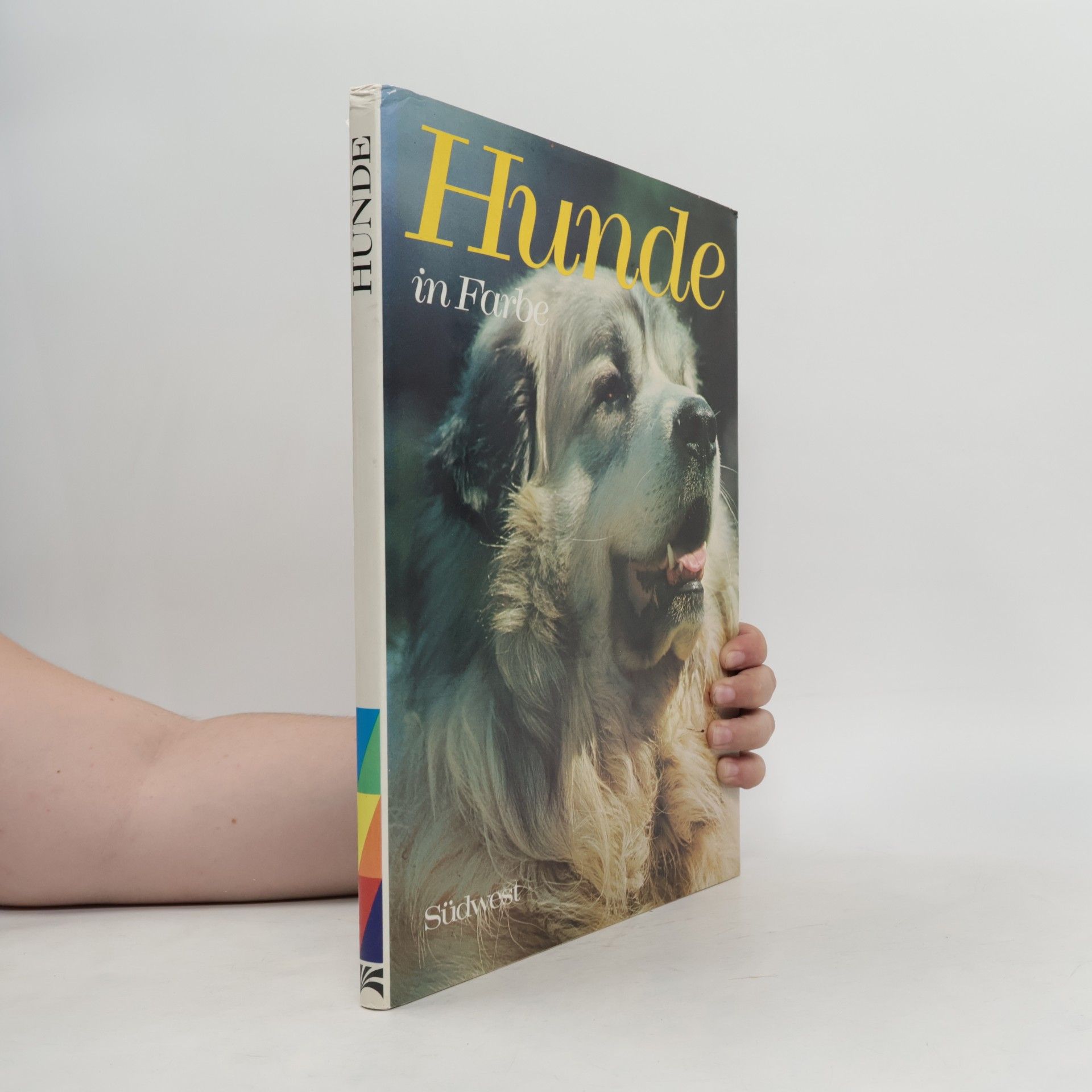 Wendy Boorer Hunde in Farbe
