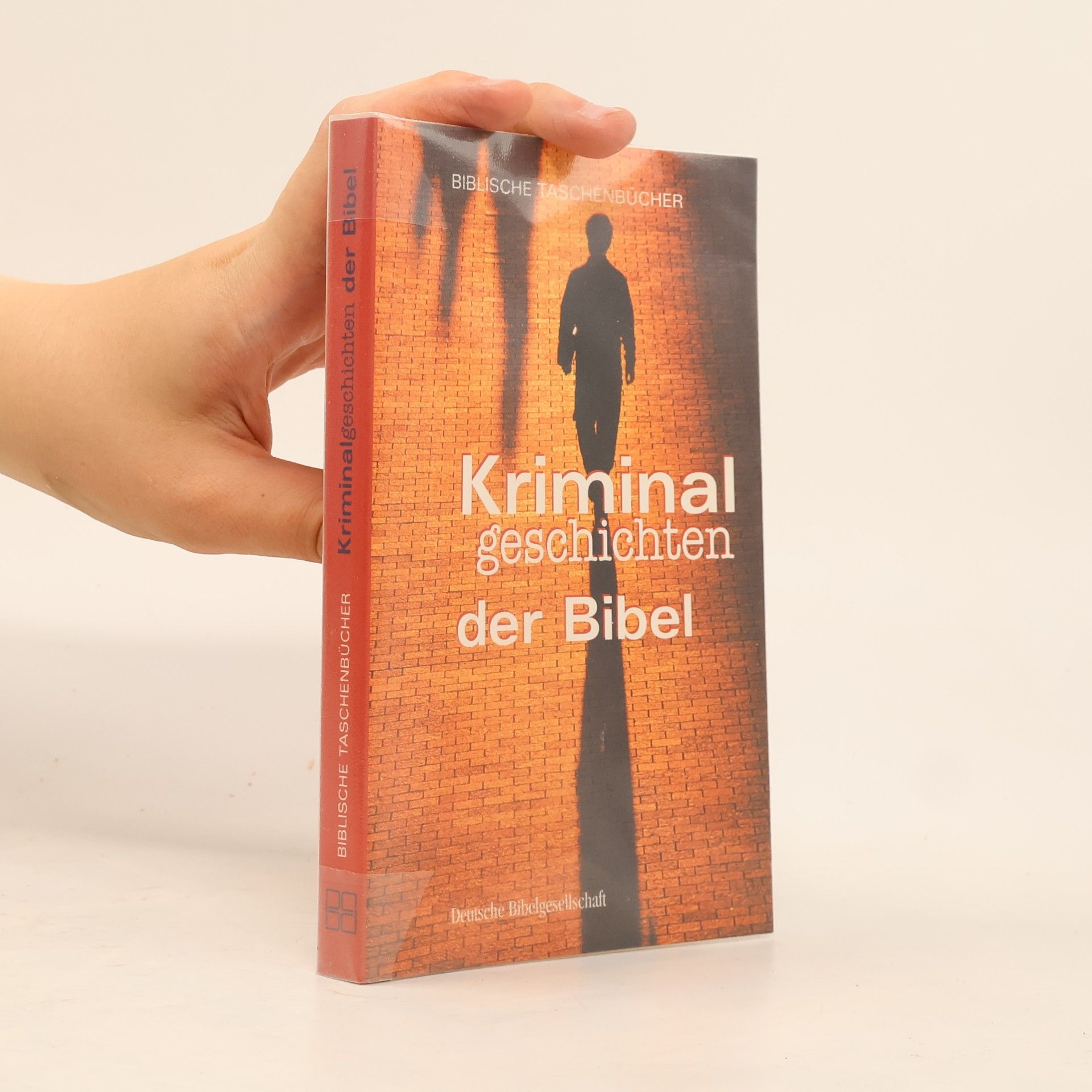 Bertram Salzmann Kriminalgeschichten der Bibel