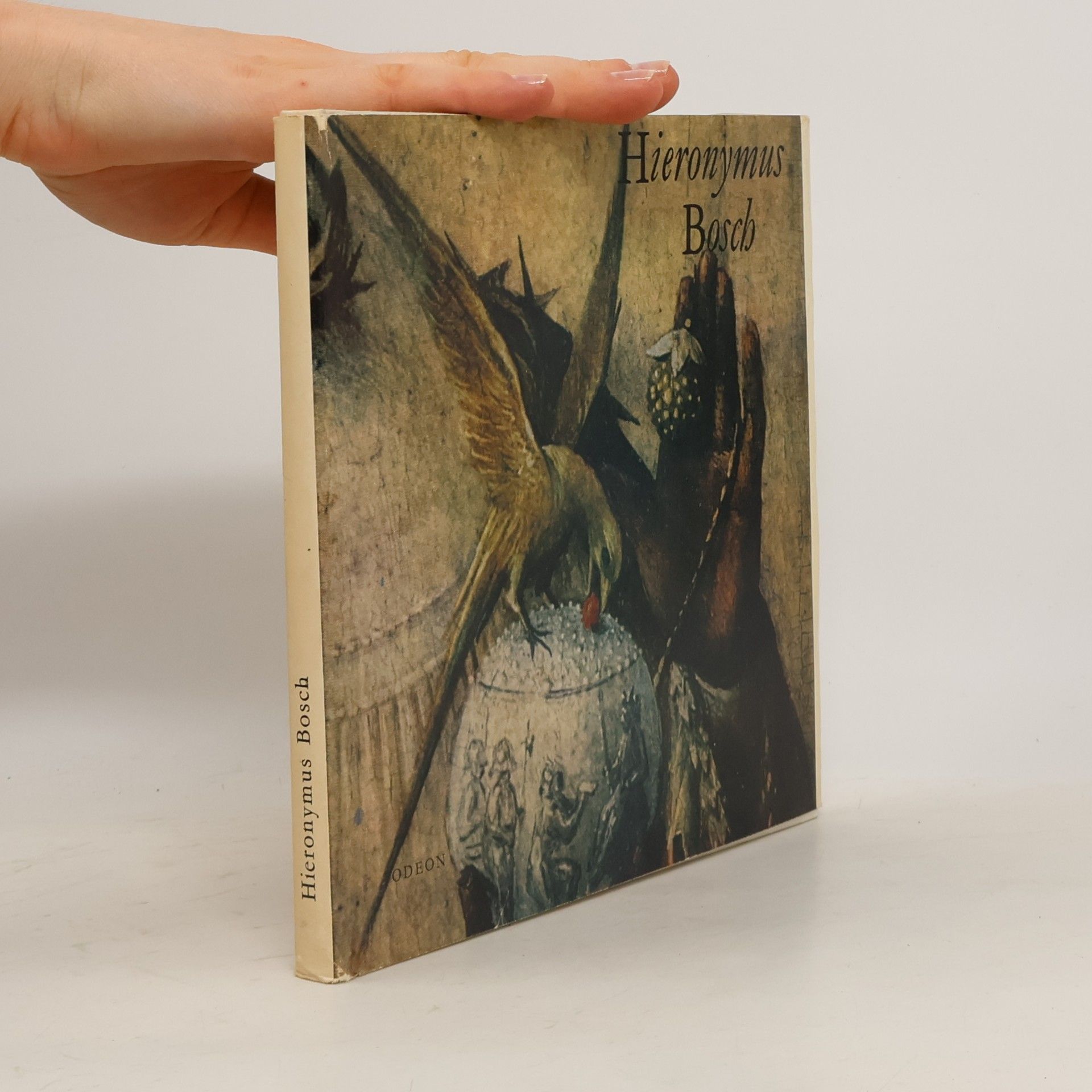 Hana Volavková Hieronymus Bosch