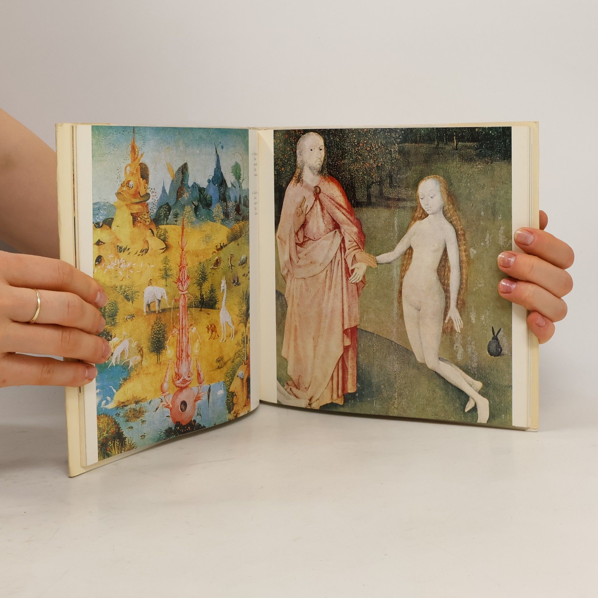 Hana Volavková Hieronymus Bosch